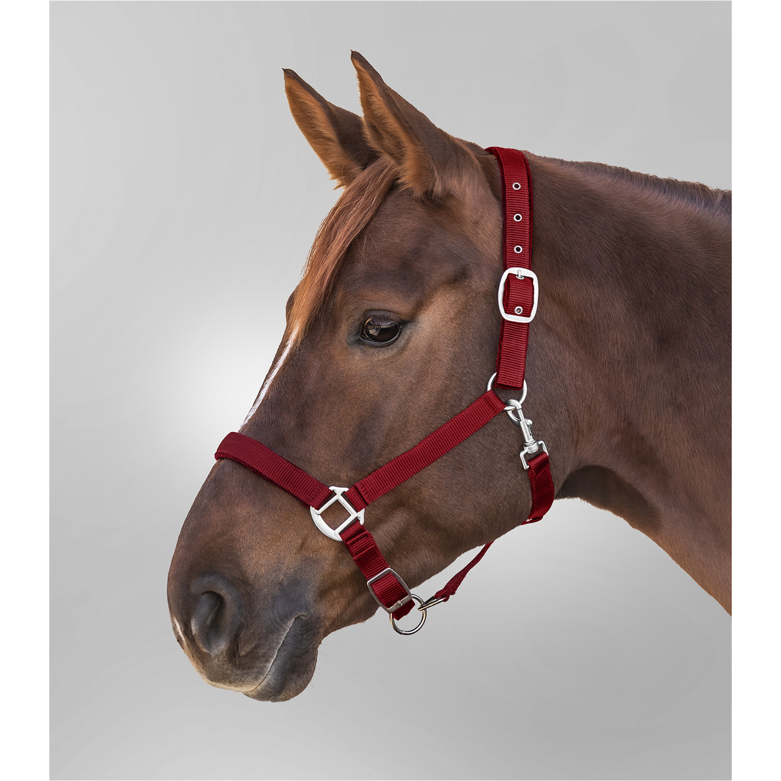 Halfter SATIN bordeaux