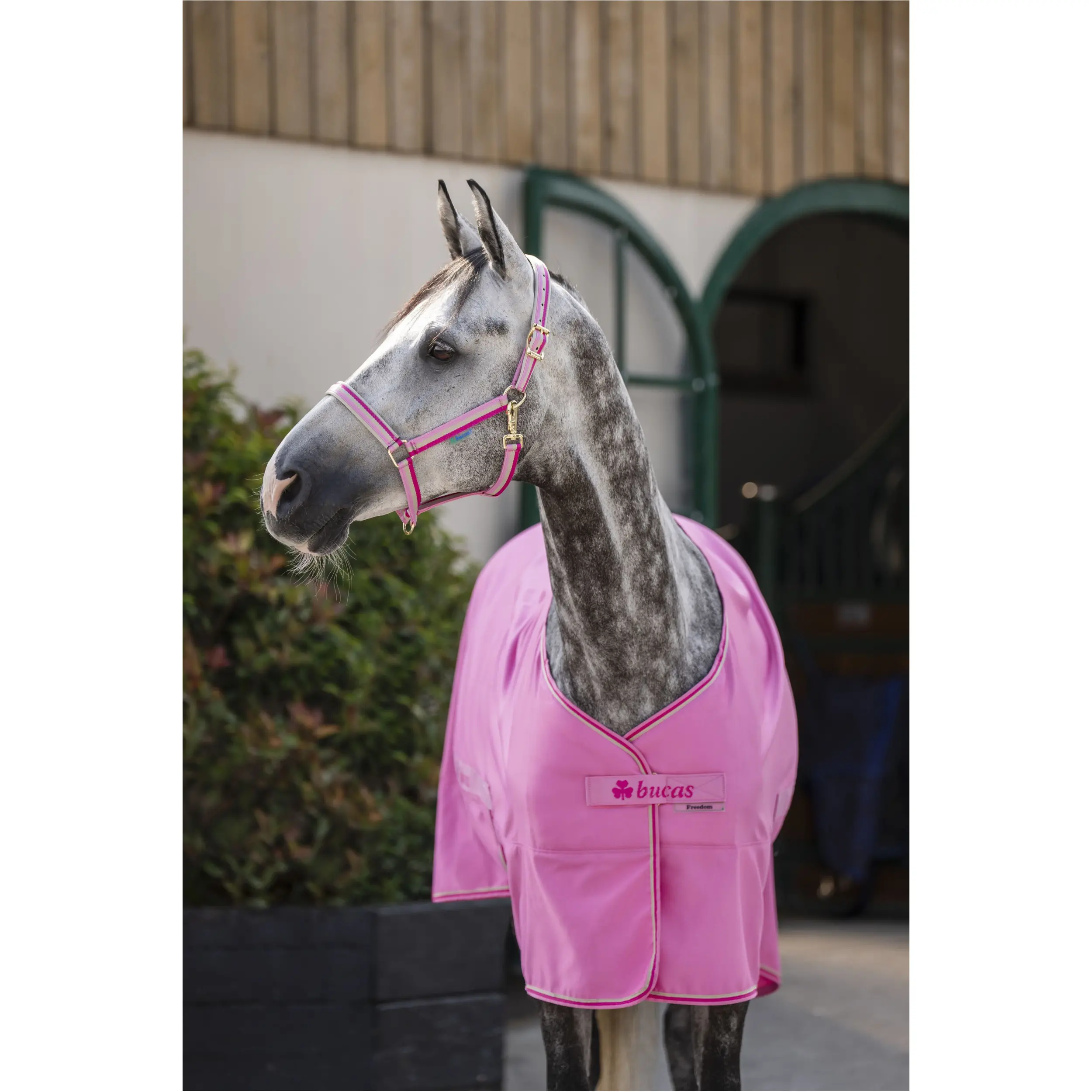 Stall-, Sommer- und Transportdecke FREEDOM TWILL SHEET aurora pink