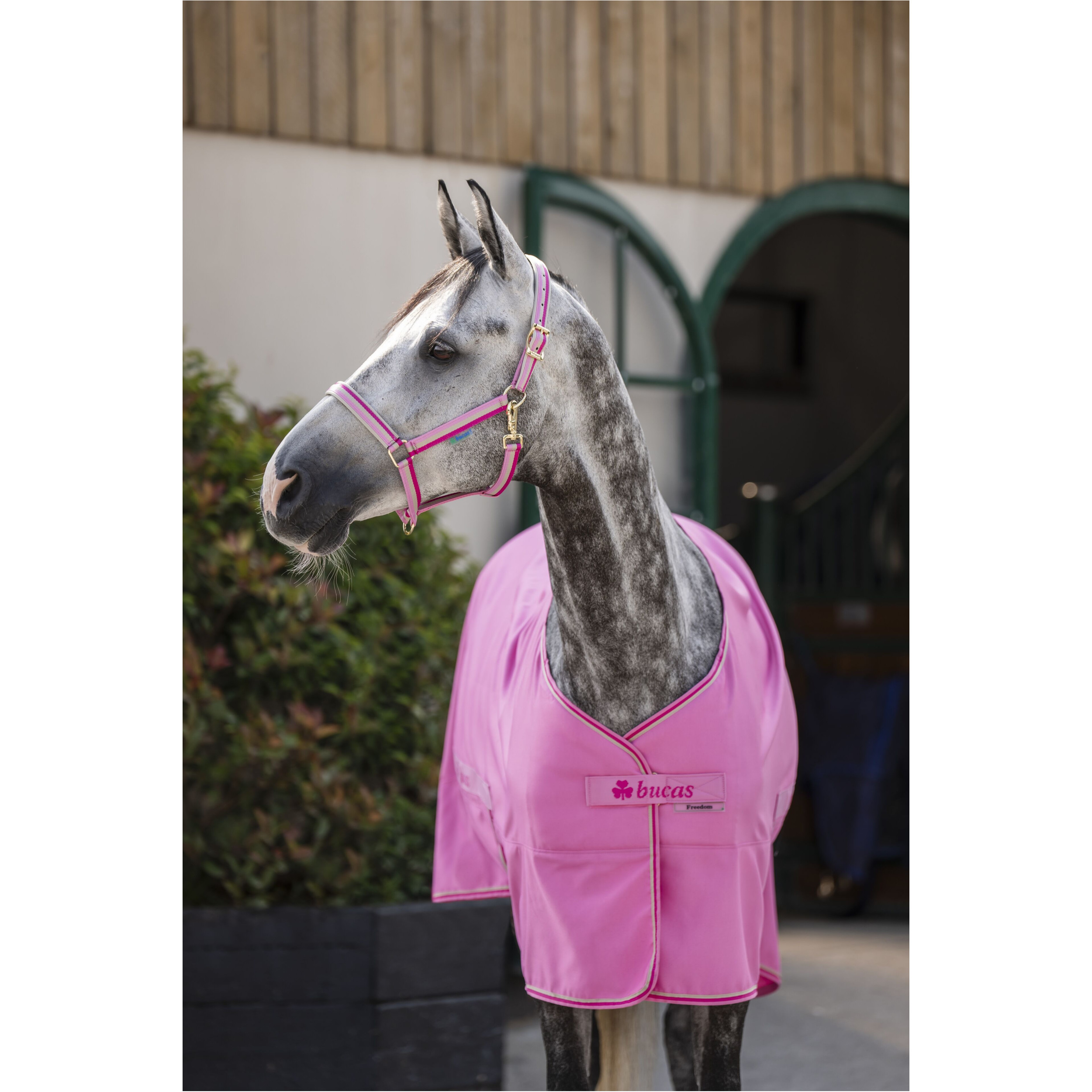 Stall-, Sommer- und Transportdecke FREEDOM TWILL SHEET aurora pink