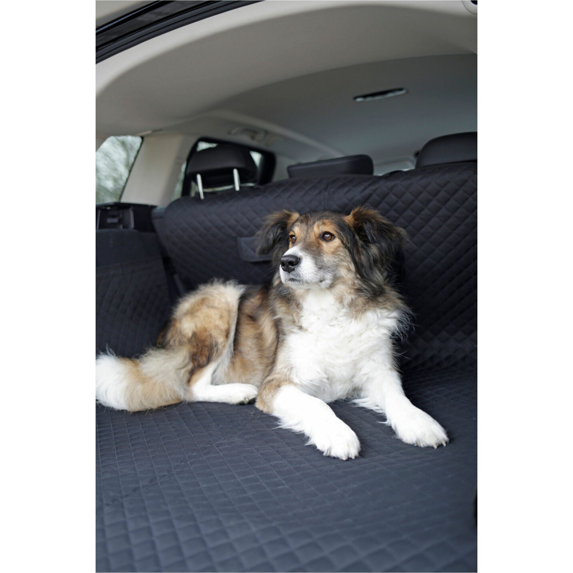 Auto Schondecke Kofferraum PREMIUM schwarz