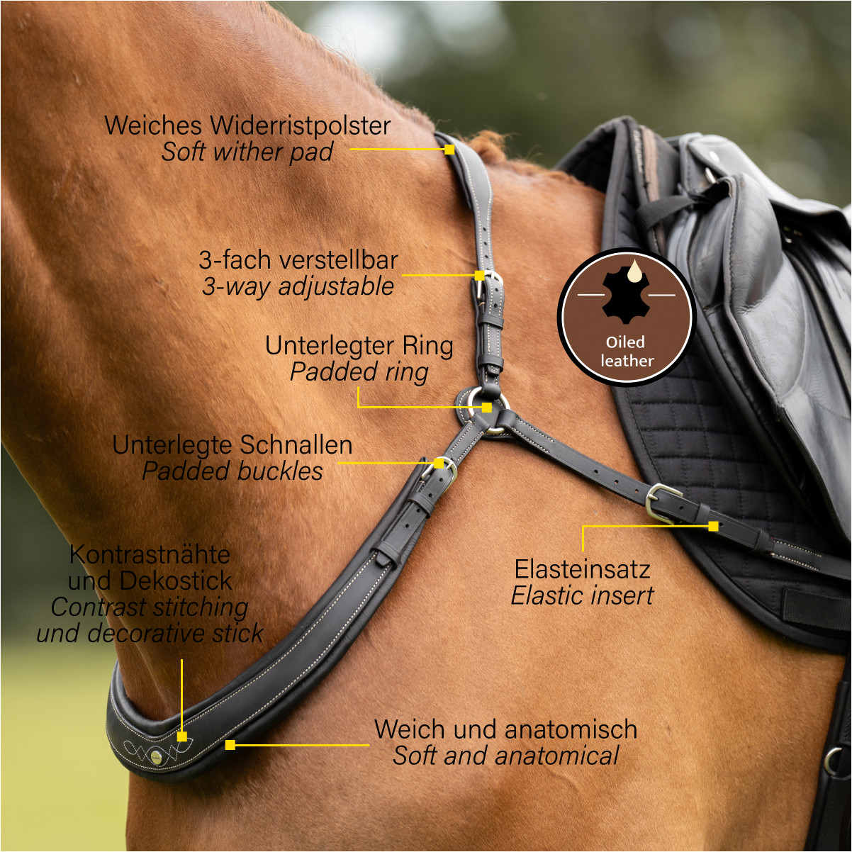 Vorderzeug JEROME schwarz