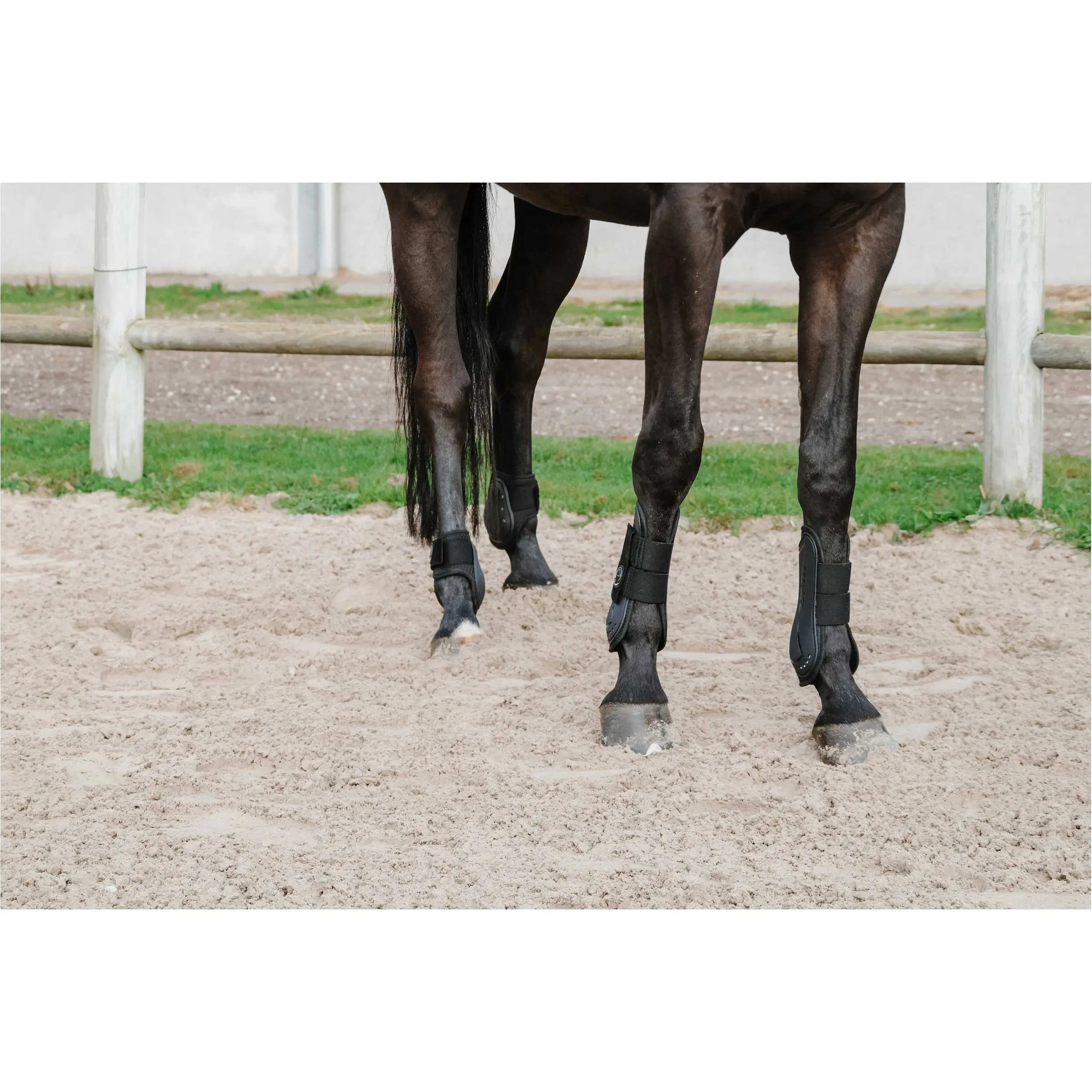 Gamaschen und Streichkappen Set Je t'aime schwarz Vollblut/Warmblut
