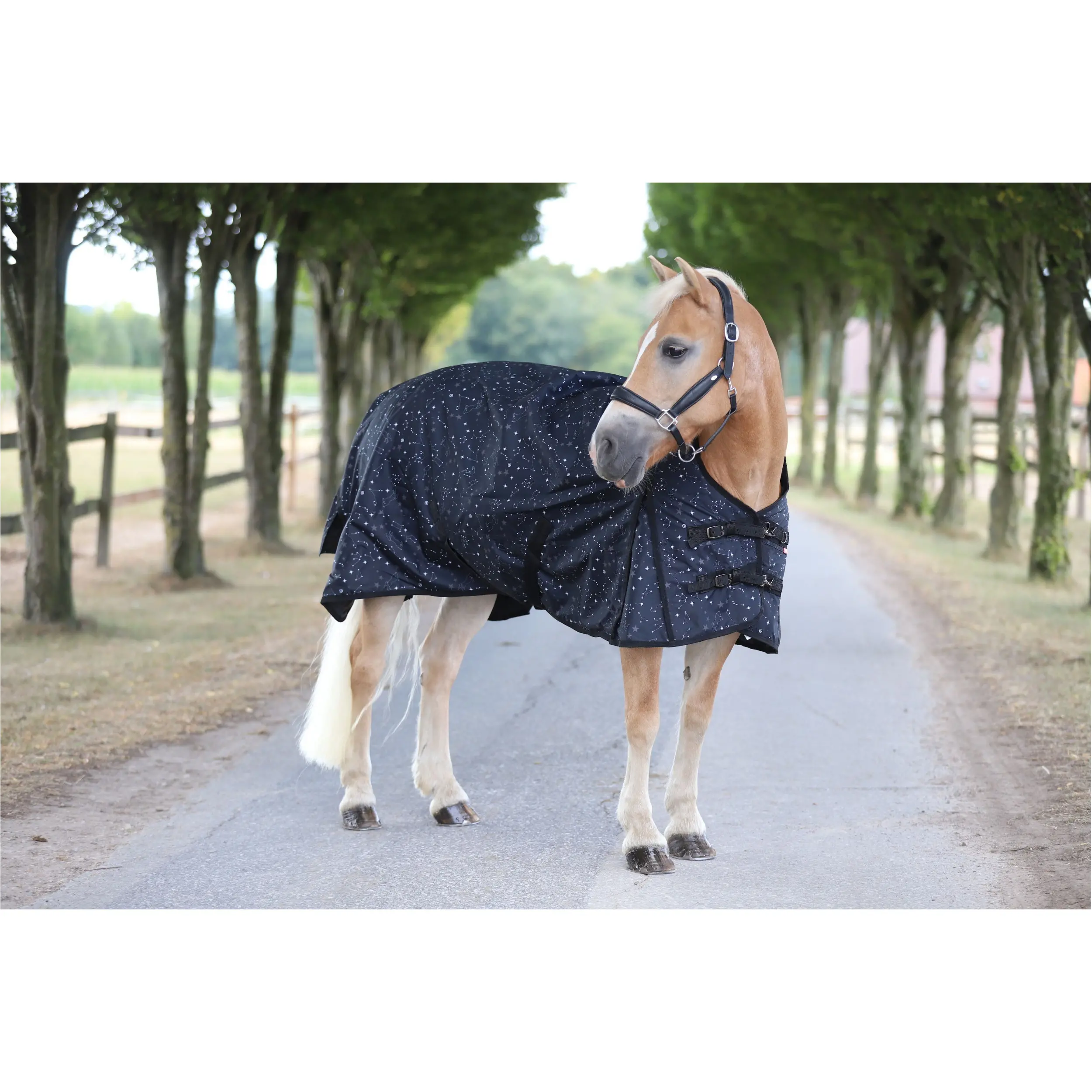 Outdoordecke 600D IRHSuper-dry STARDUST black