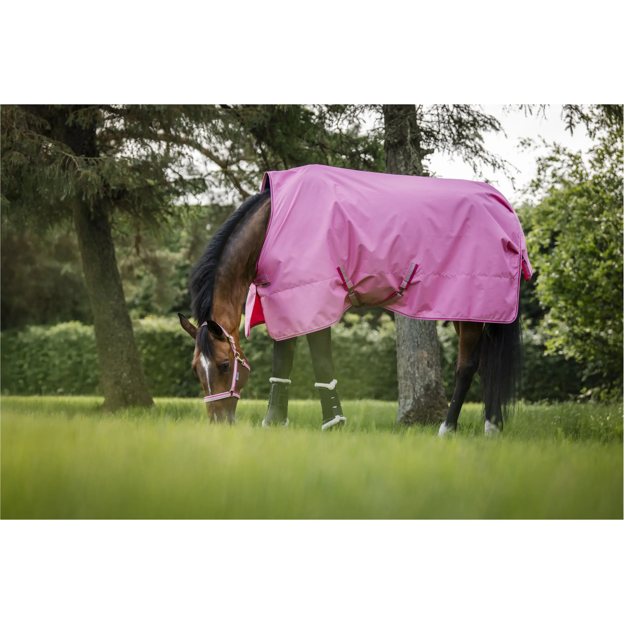 Regendecke Light FREEDOM TURNOUT aurora pink