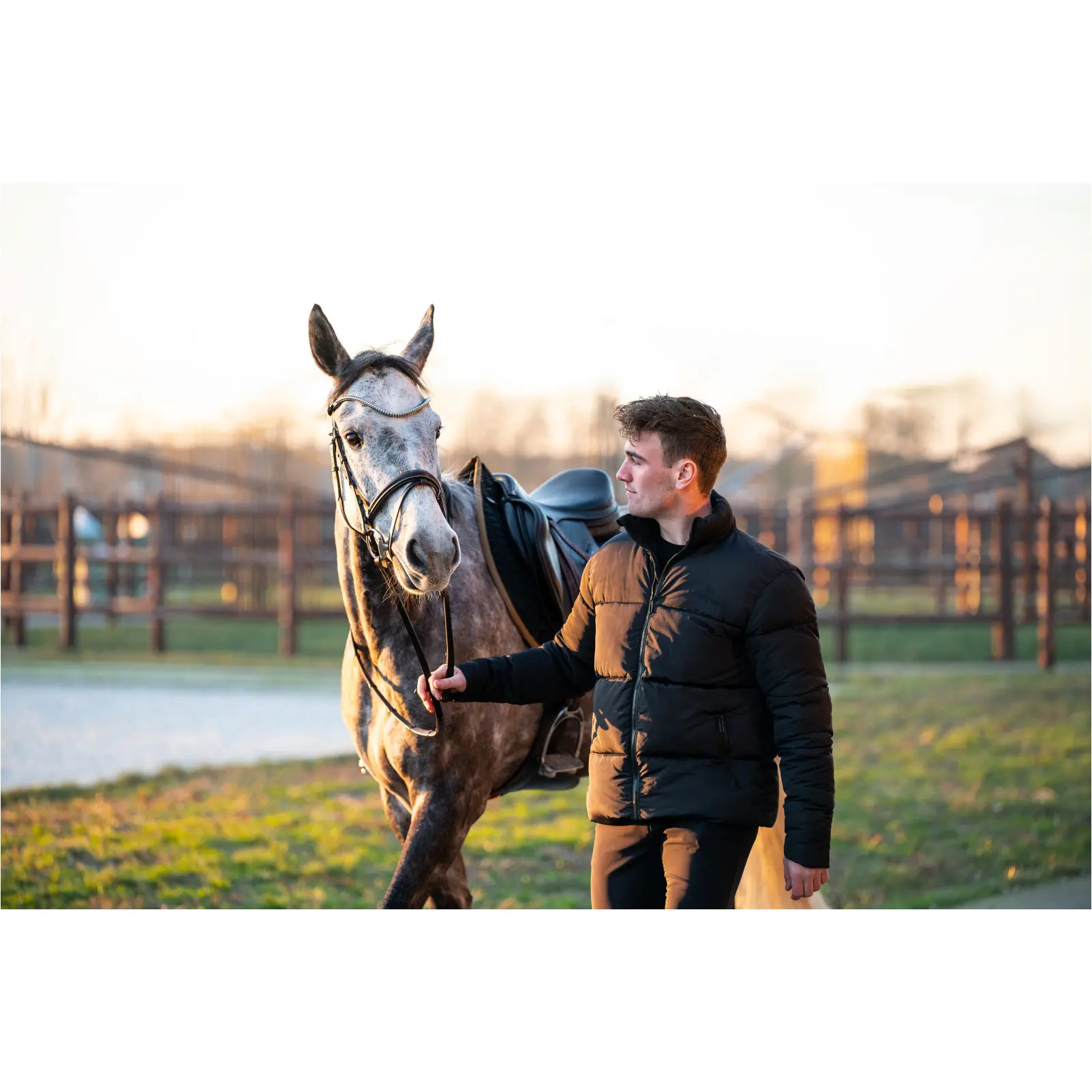 Trensenzaum englisch kombiniert BROOKLYN braun Trensenzaum englisch kombiniert BROOKLYN braun