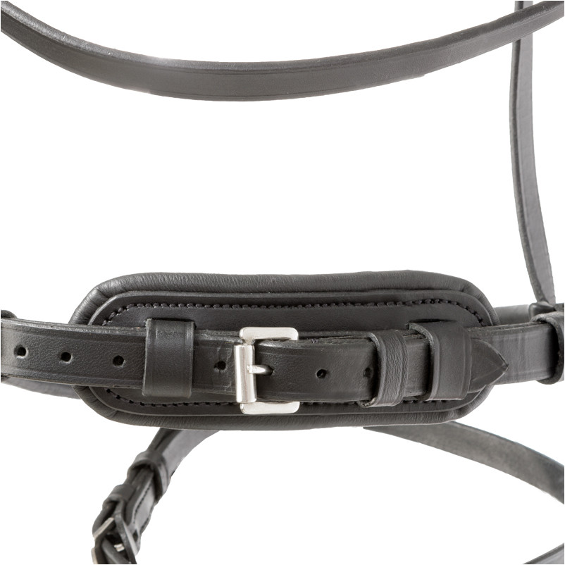 Trensenzaum mit schwedischen Reithalfter RAVENNA schwarz