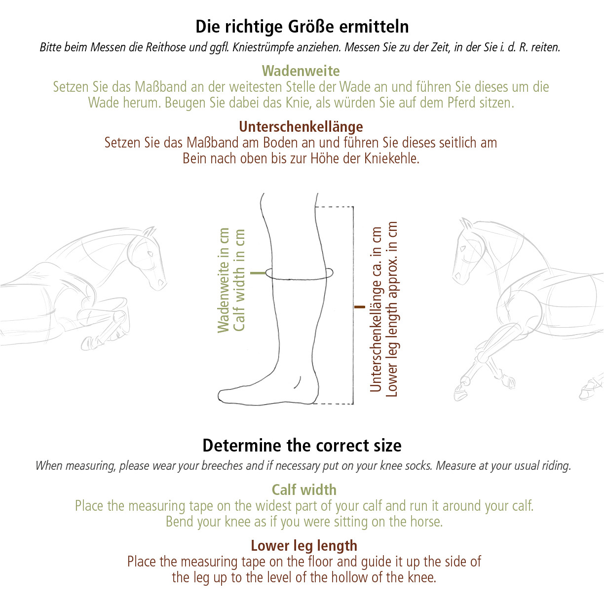 Reitstiefel PROXIMO Echtleder schwarz Reitstiefel PROXIMO Echtleder schwarz