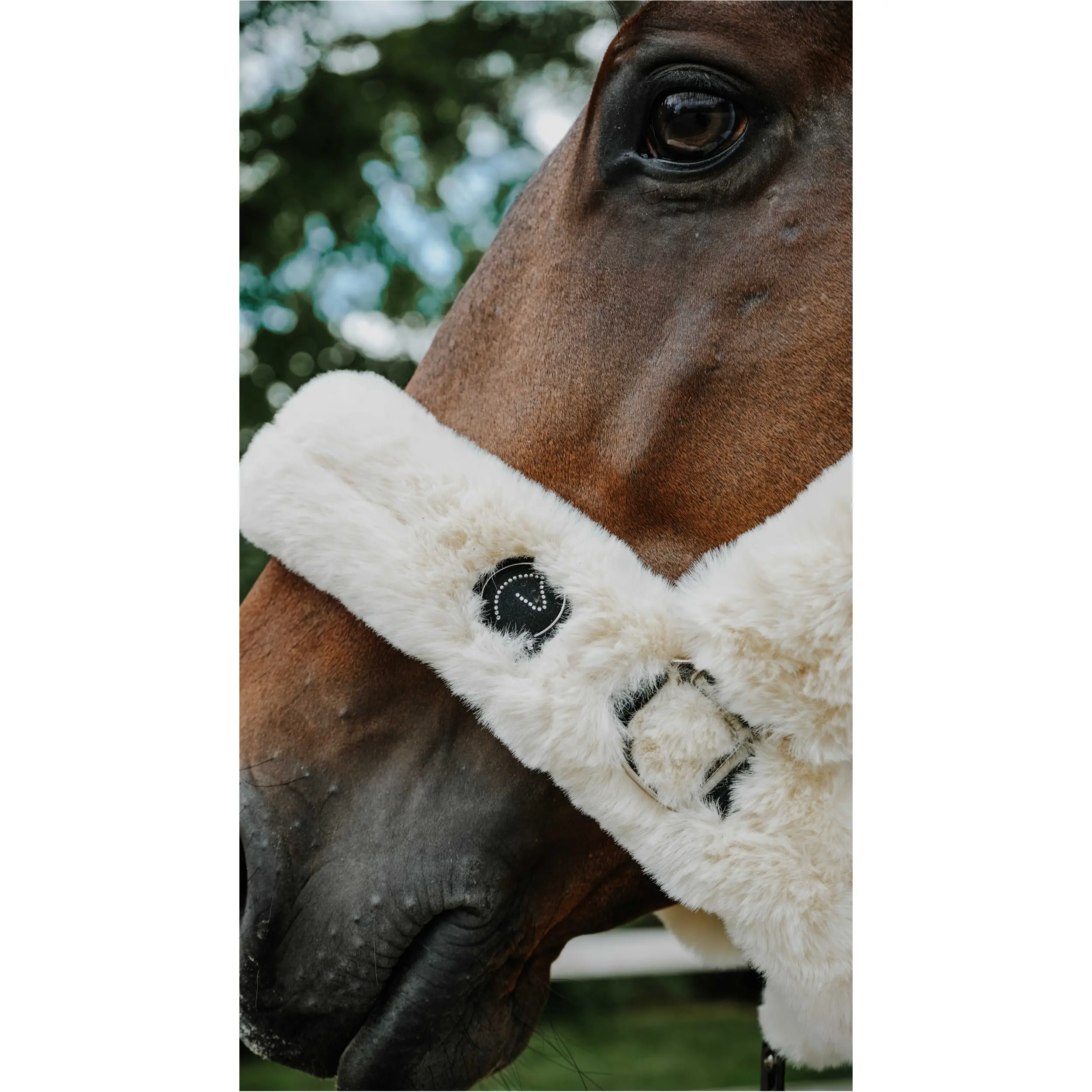 Halfter Je t'aime SNUGGY EquiTheme naturfarben
