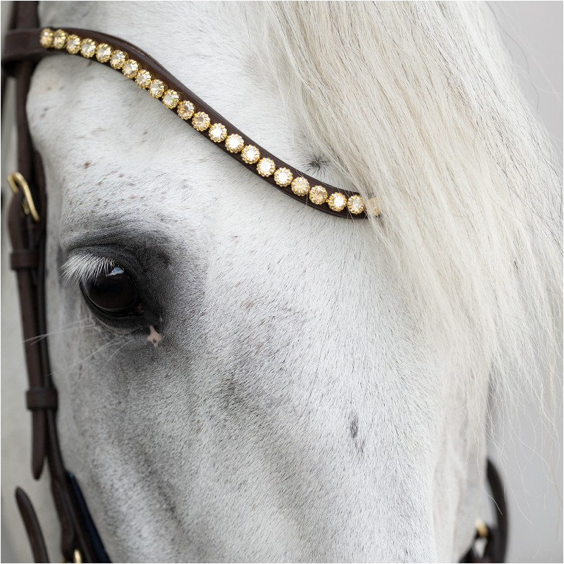 Trensenzaum englisch kombiniert CALIANO VIA Leder geölt braun/messing