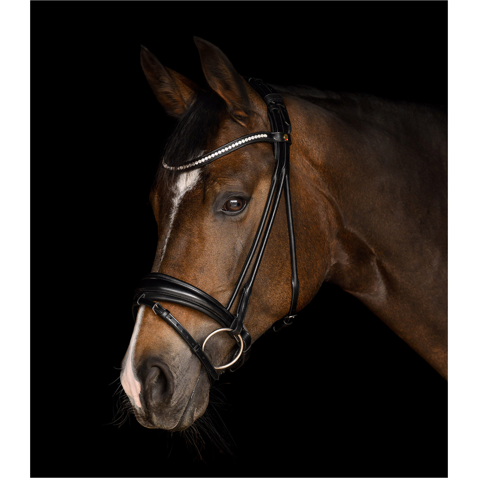 Trensenzaum schwedisch kombiniert S-Line GRACE schwarz