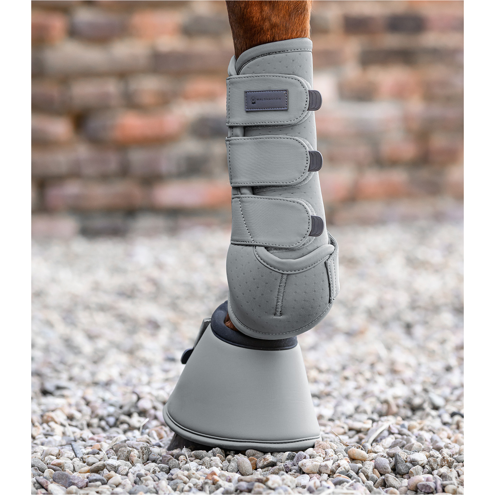 Hufglocken PERFORMANCE chromgrau Hufglocken PERFORMANCE chromgrau