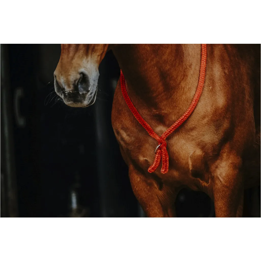 Ethologisches Halsband rot