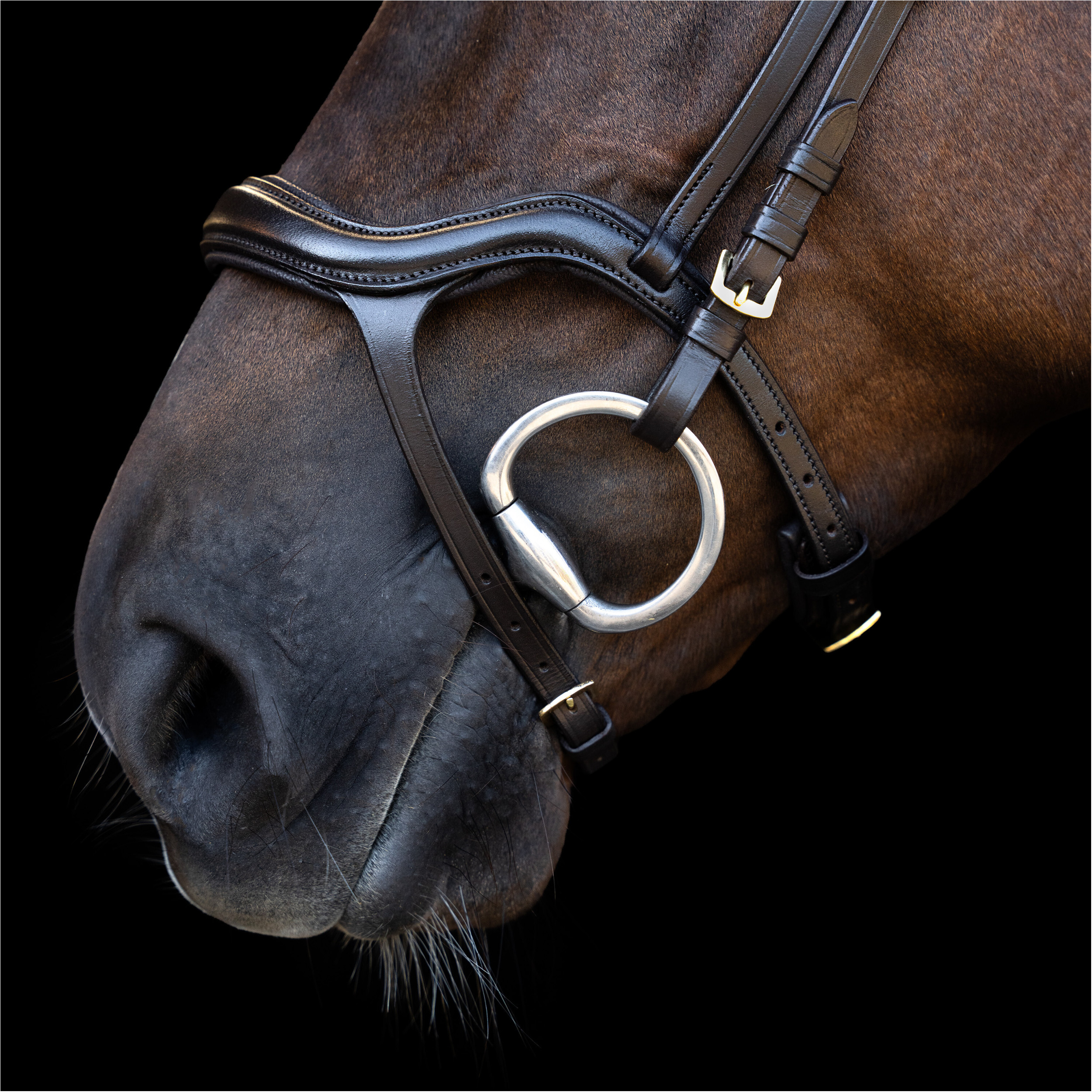 Trensenzaum IRH mit ergonomischem Nasenriemen braun