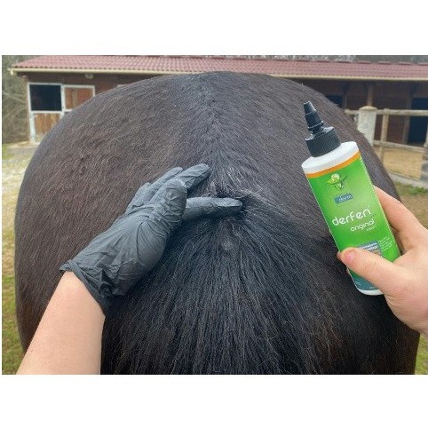 Derfen Original Lotion 