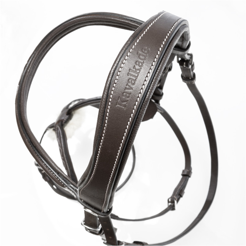 Trensenzaum mit mexikanischem Reithalfter DIANDRO braun