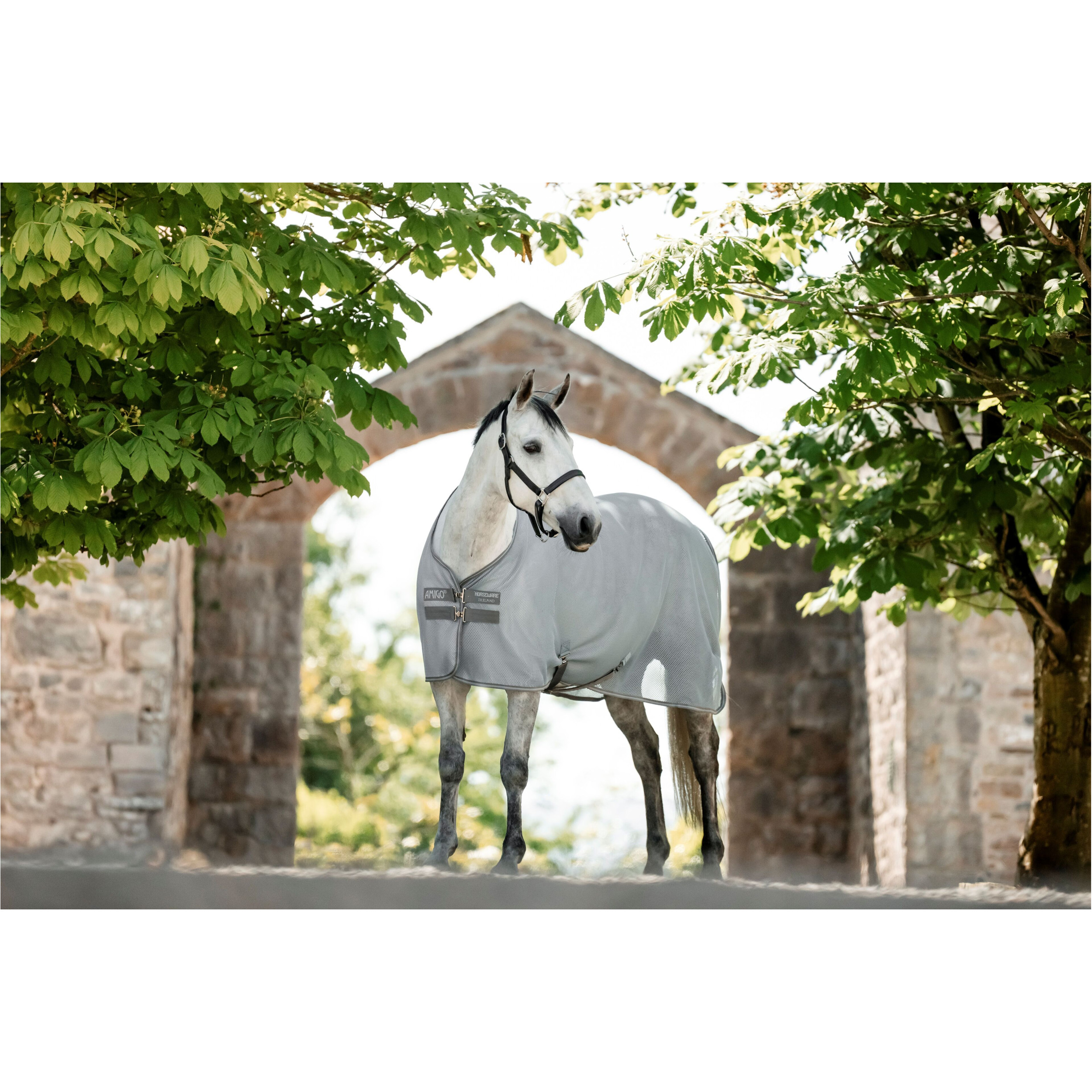 Abschwitz- und Fliegendecke AMIGO AirNet Cooler heather blue/titanium grey/silver