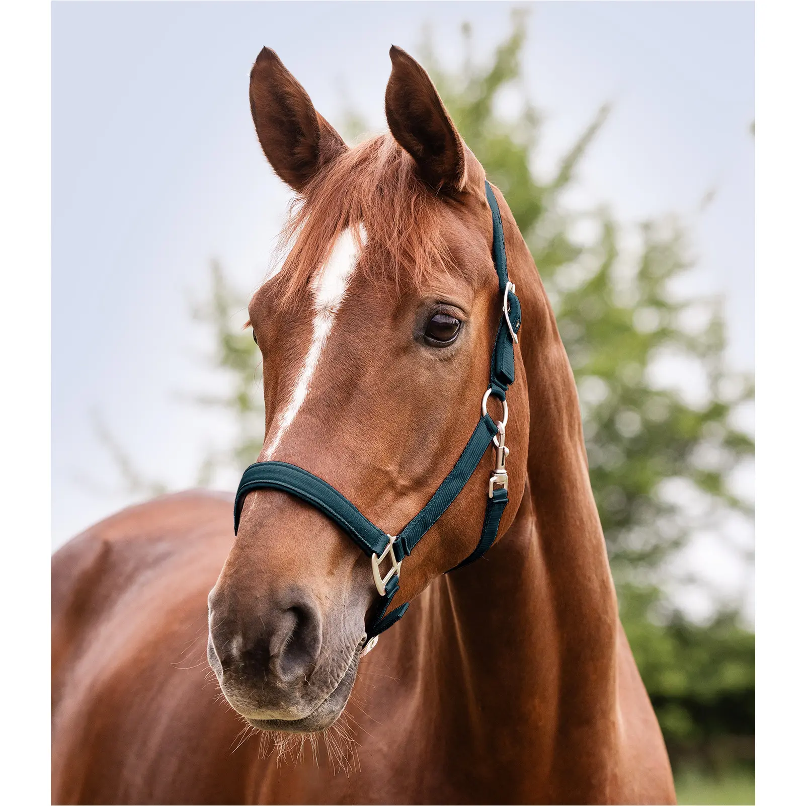 Halfter SATIN petrolblau