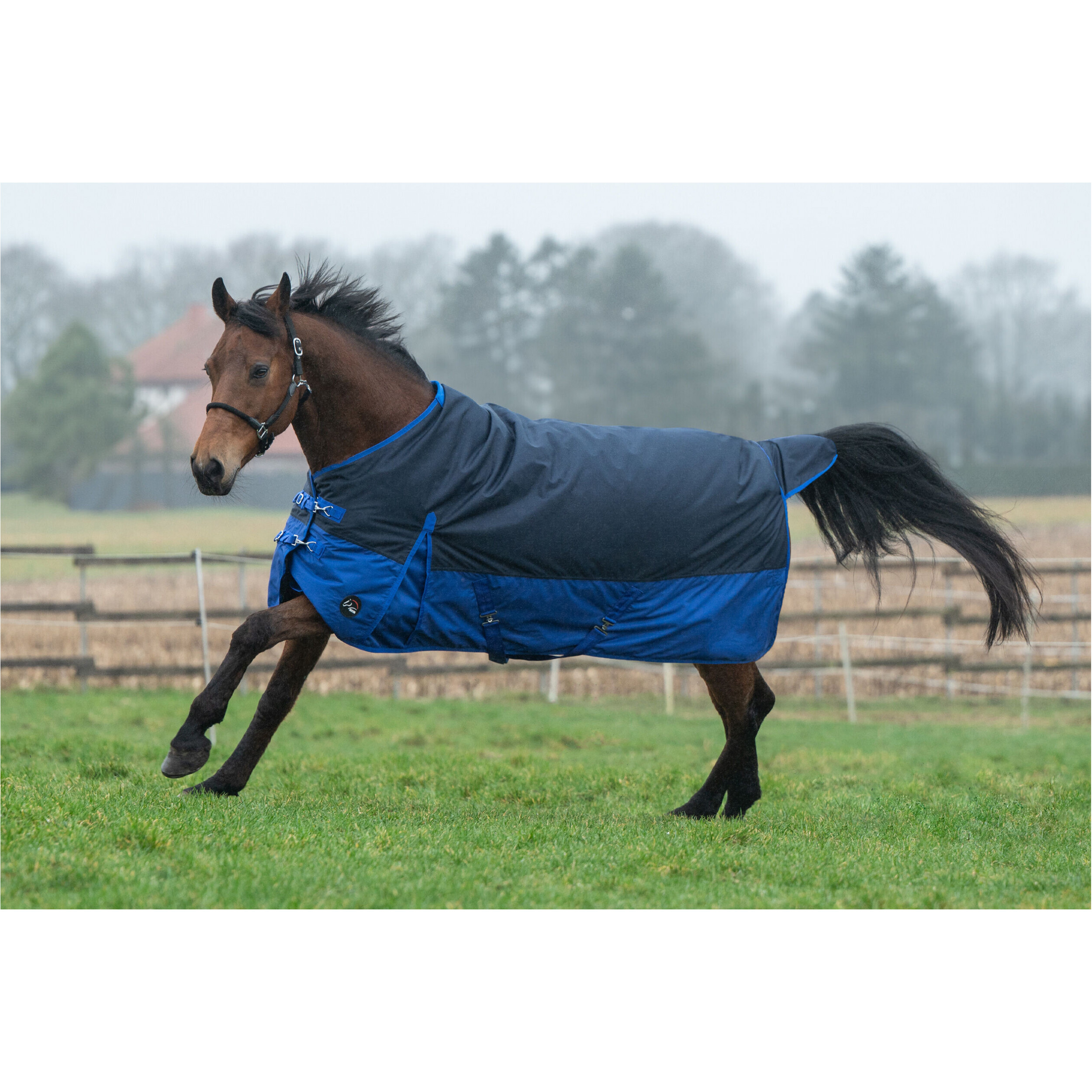 Weidedecke 600D mit Fleecefutter CHESTER dunkelblau/blau