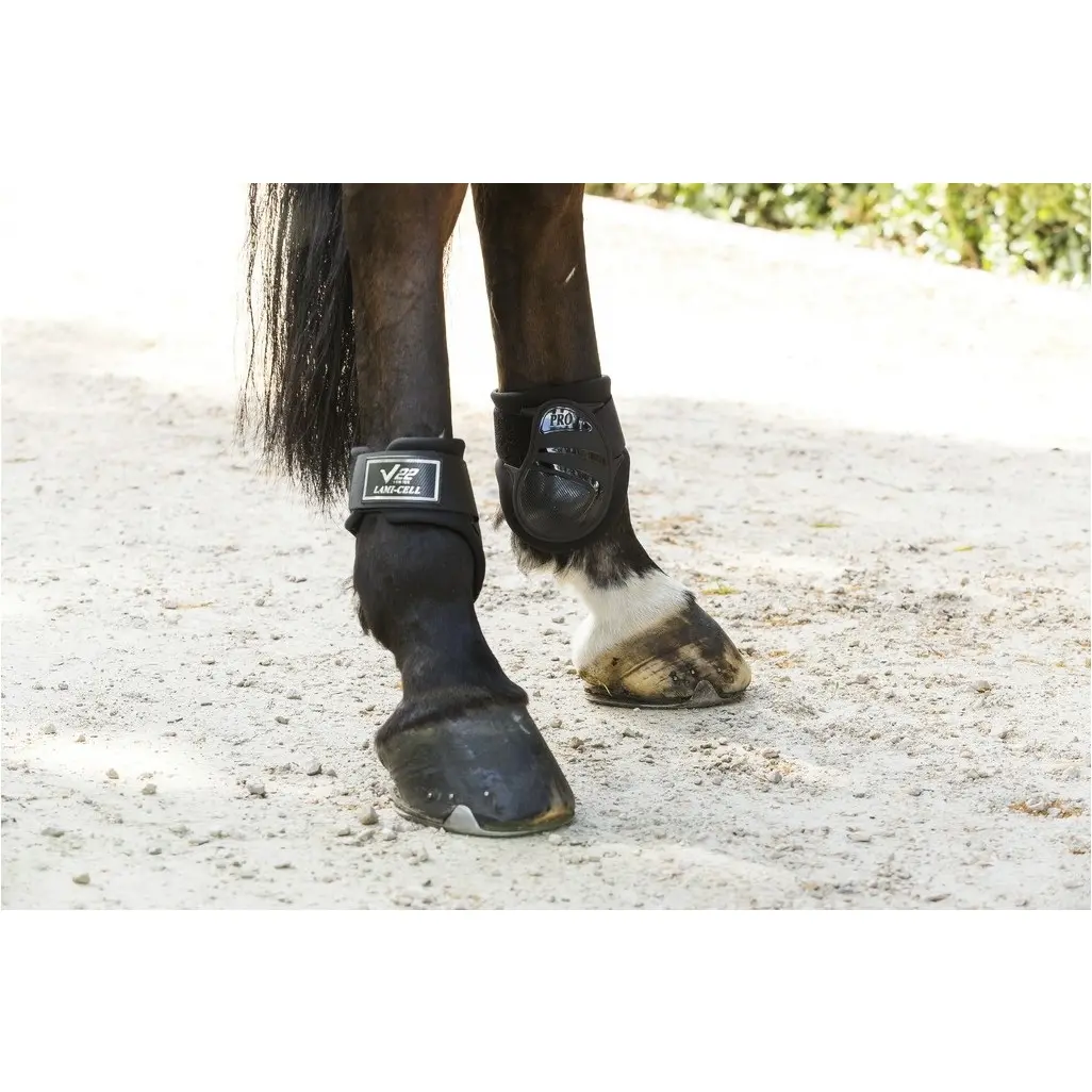 Streichkappen FEI zugelassen V22 YOUNGSTER schwarz Streichkappen FEI zugelassen V22 YOUNGSTER schwarz