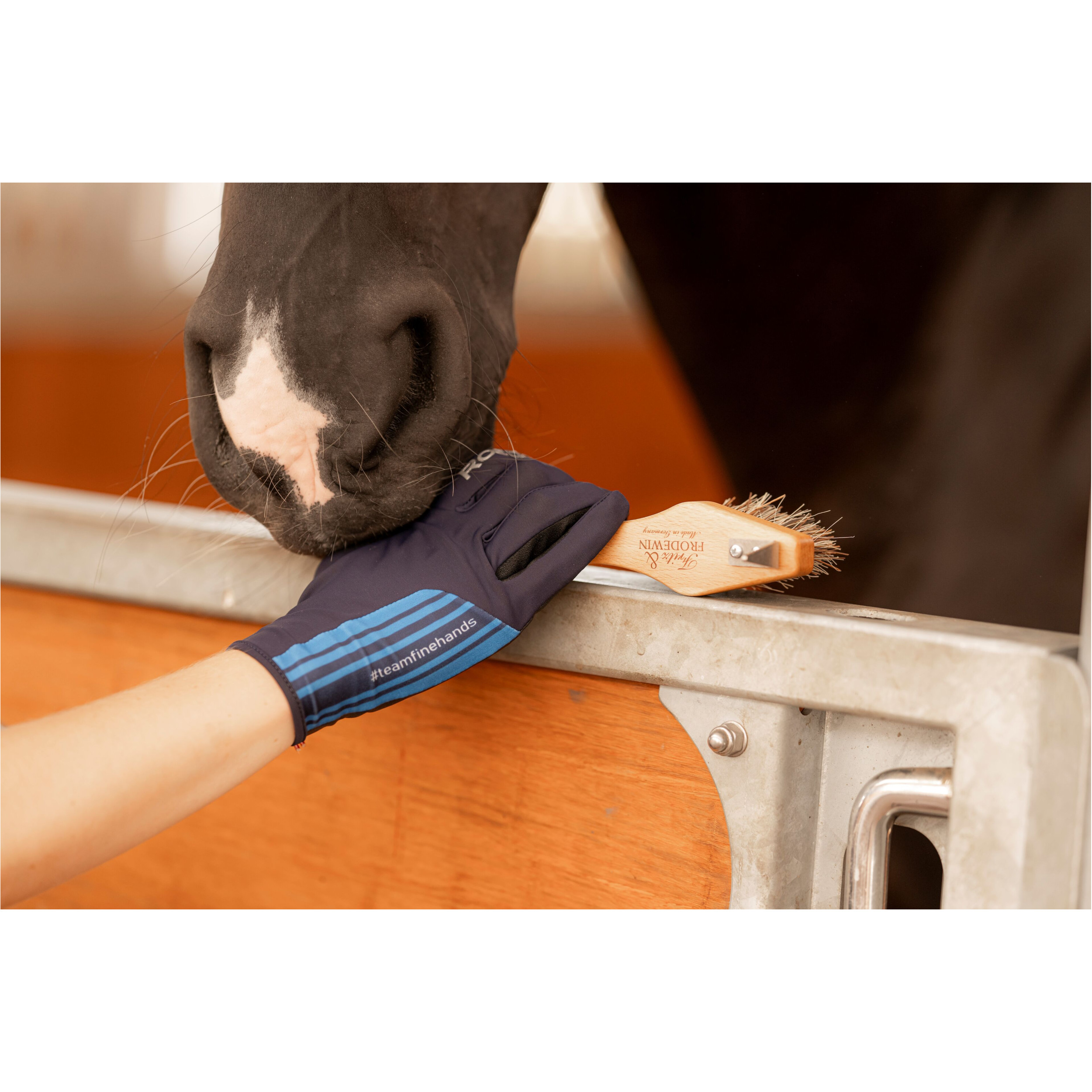 Reithandschuhe MESSARA naval academy