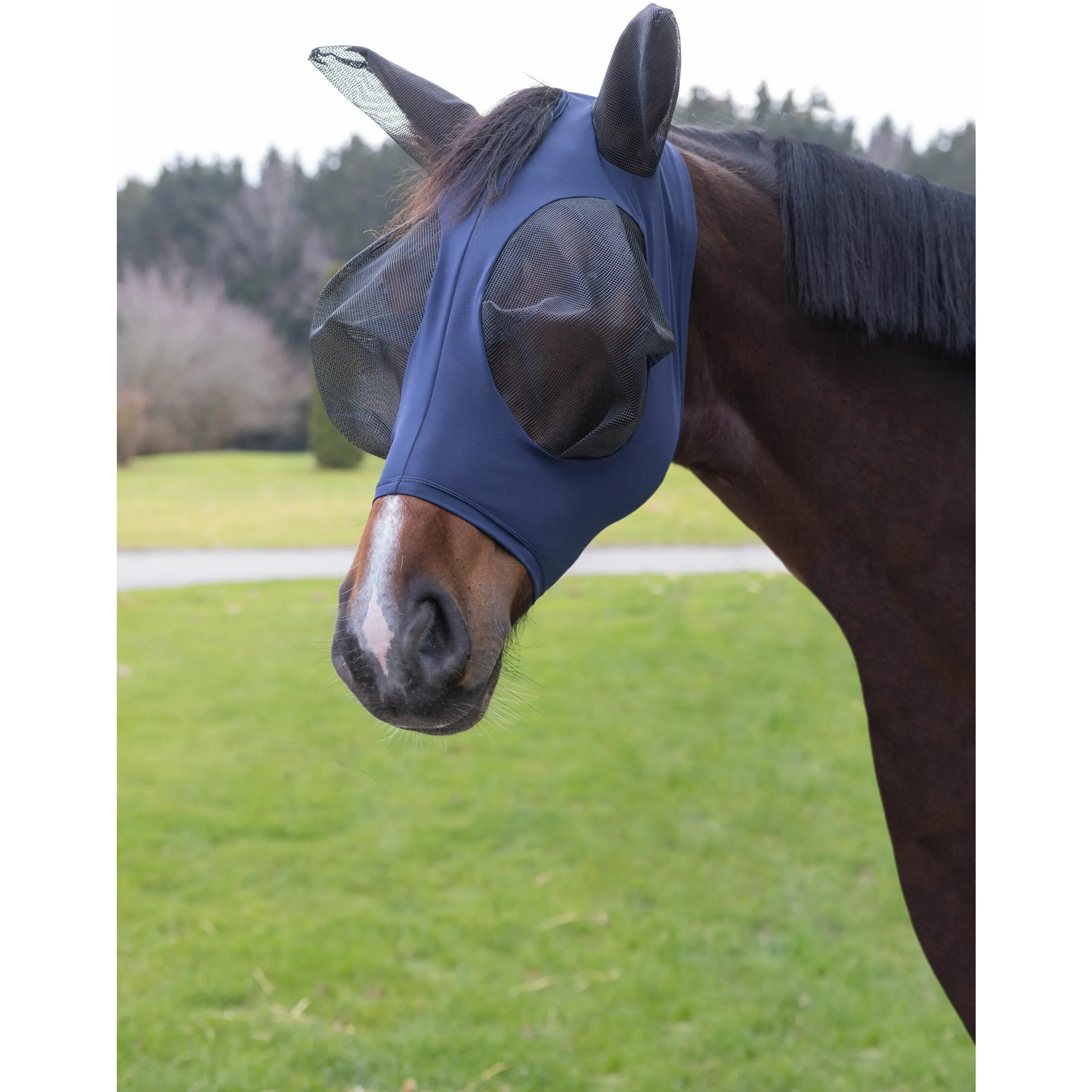 blau