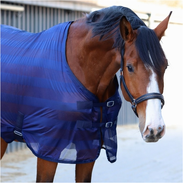 Halfter DIAMOND Leder schwarz