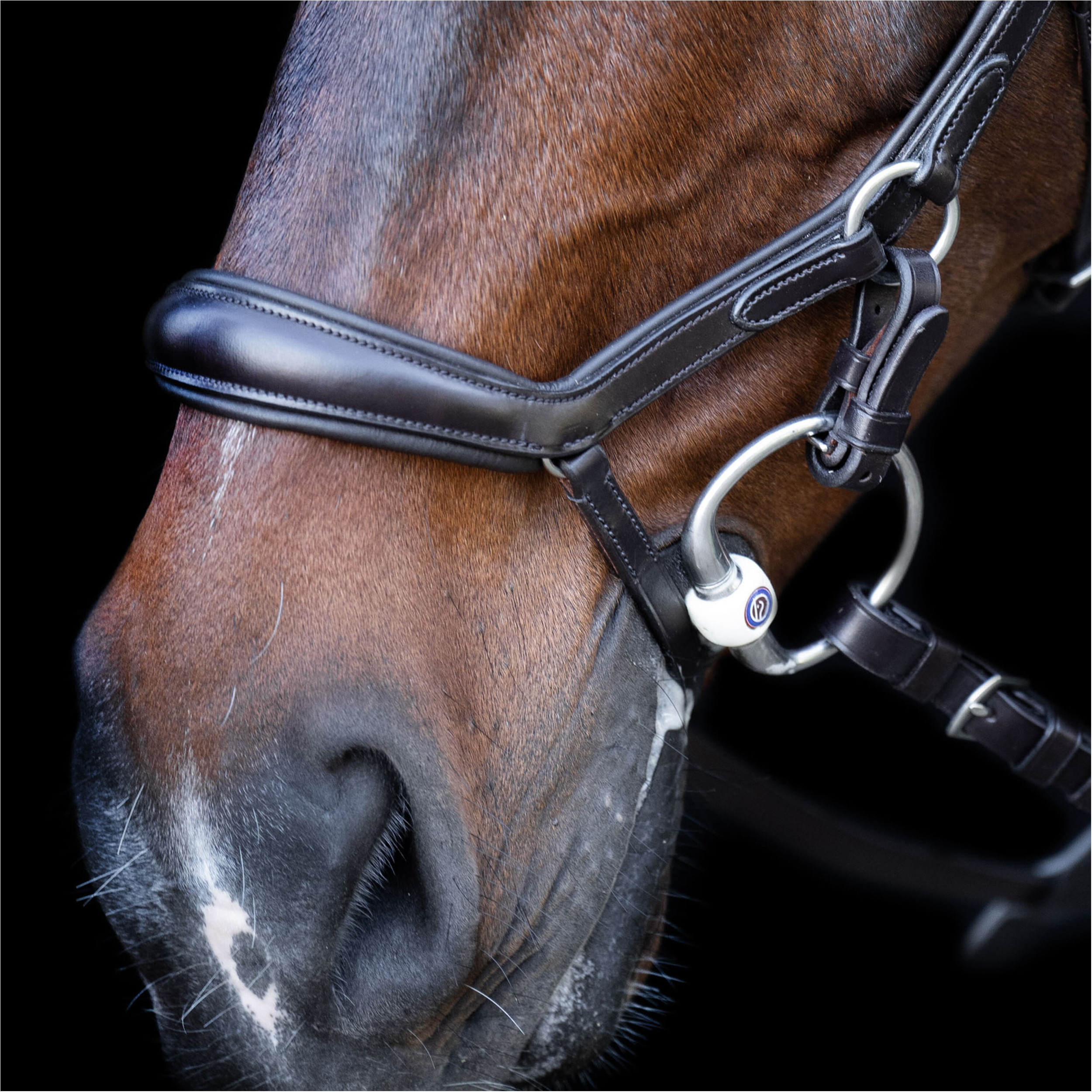 Trense HVPLegacy anatomisch Deluxe chocolate braun