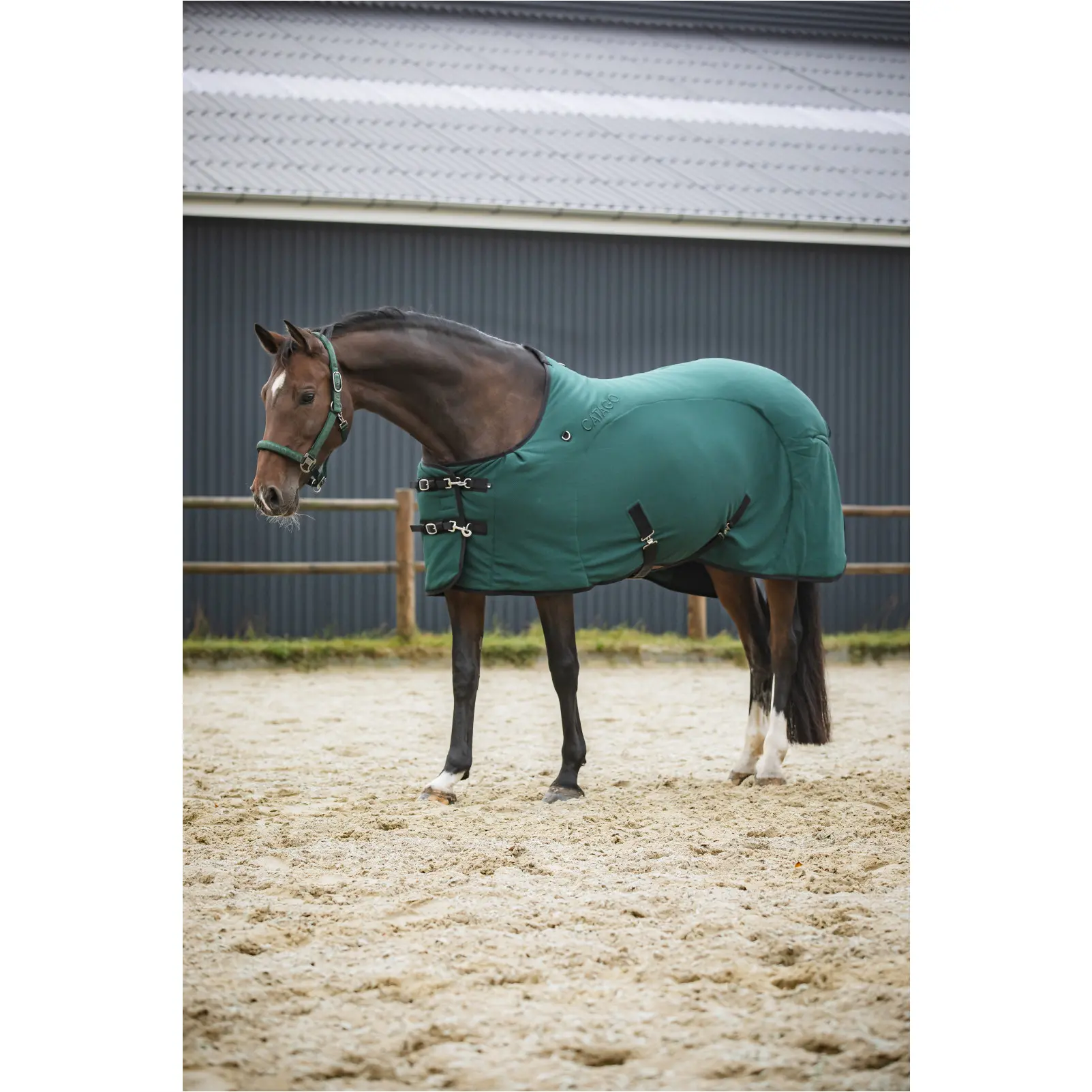 Decke FIR-Tech ponderosa pine