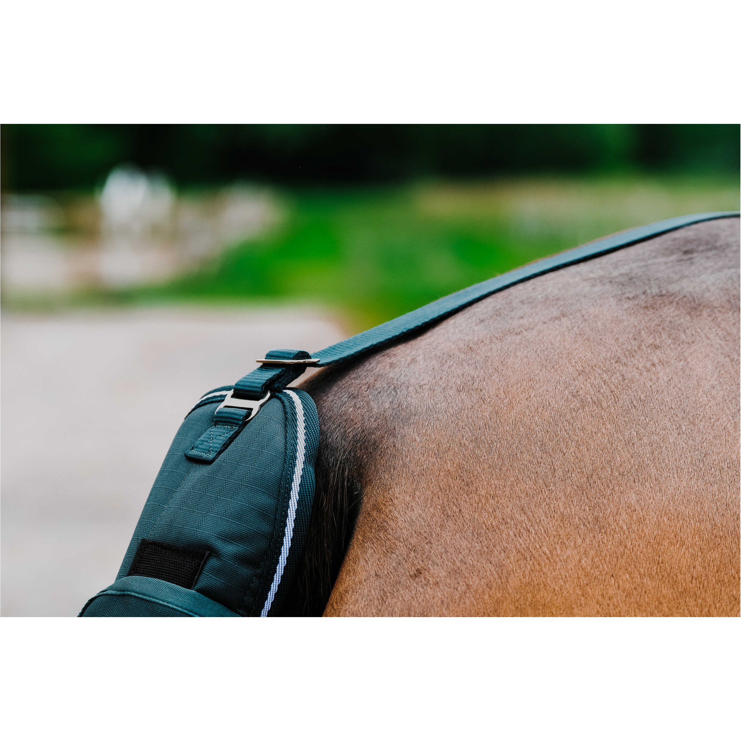 Schweifschutz 600D TYREX grün