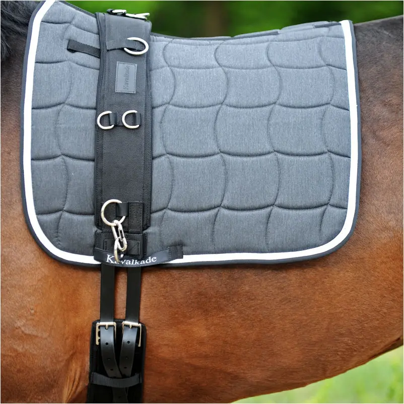 Longiergurt CLASSIC schwarz