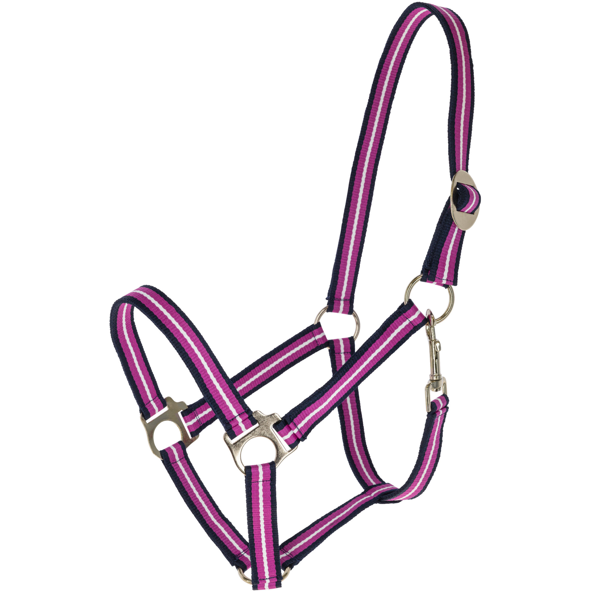 dark navy/light berry