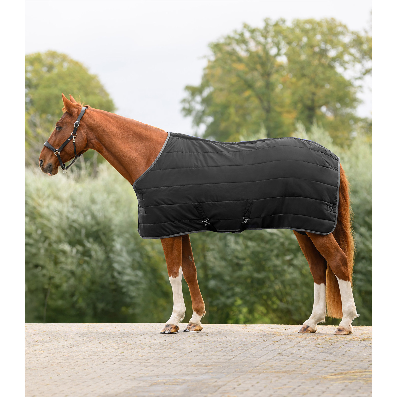 Stalldecke 100g Füllung 420D ECONOMIC schwarz