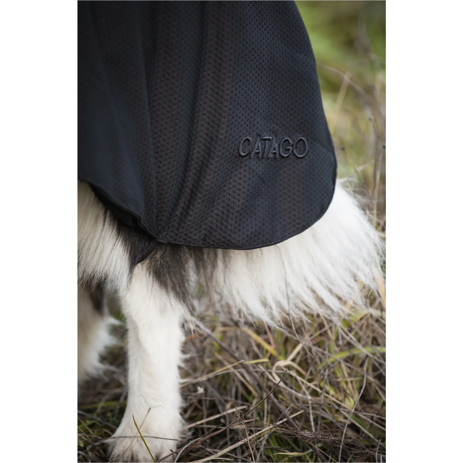 Hundedecke FIR-Tech schwarz Hundedecke FIR-Tech schwarz