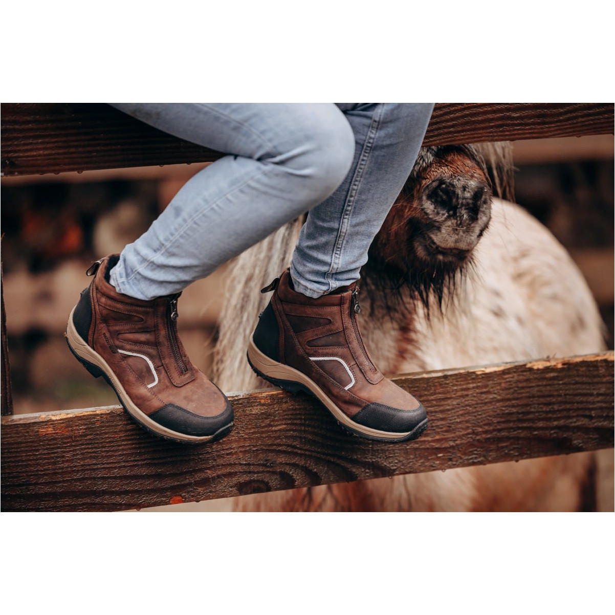 Stiefeletten FIELD FZ GripFTX chocolate