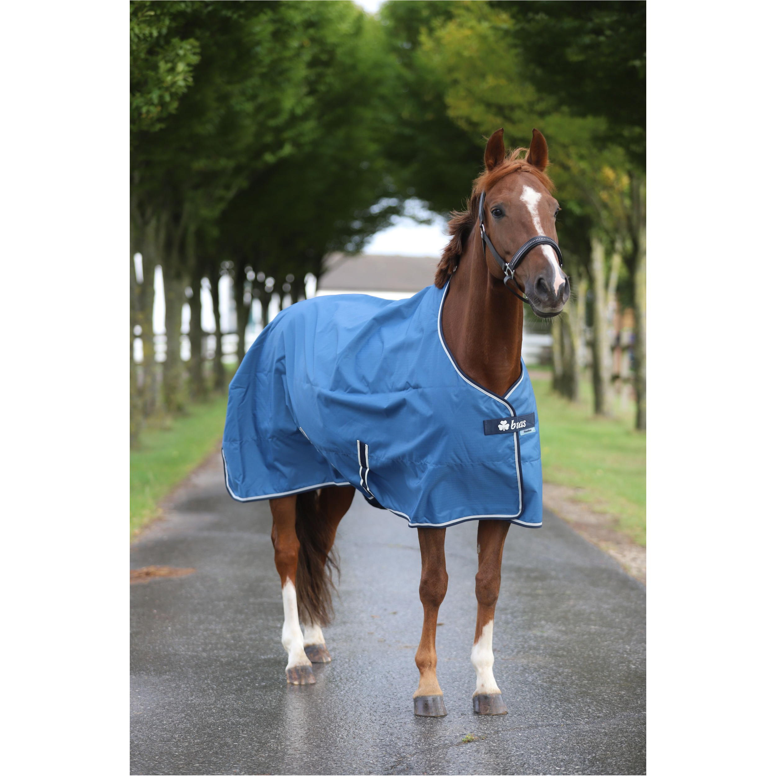 Weidedecke 600D FREEDOM TURNOUT blau/navy