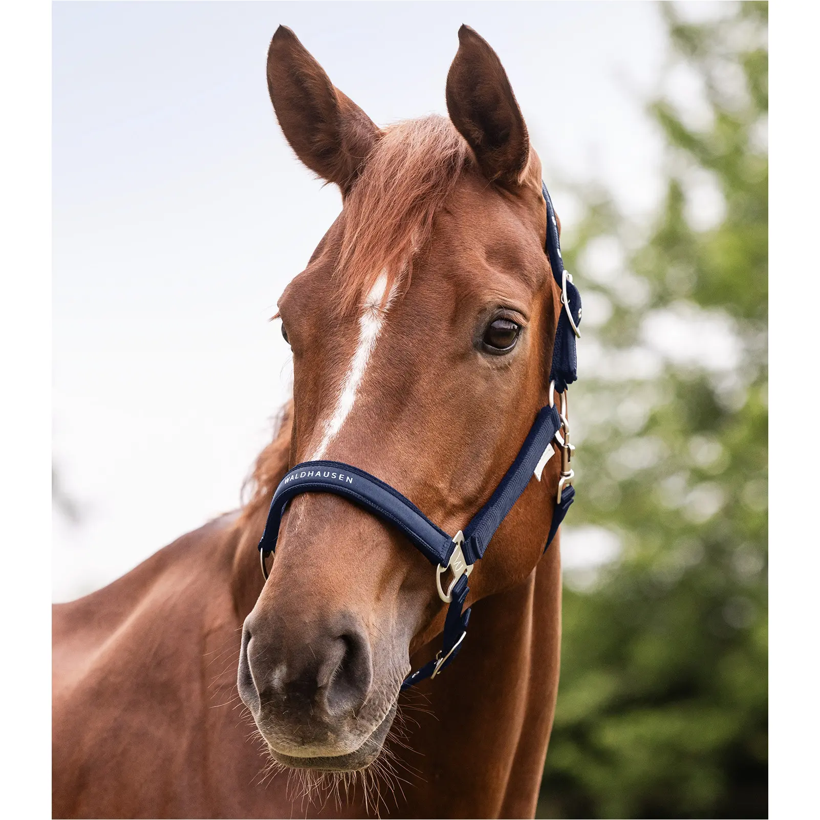 Halfter ATHLETIC nachtblau