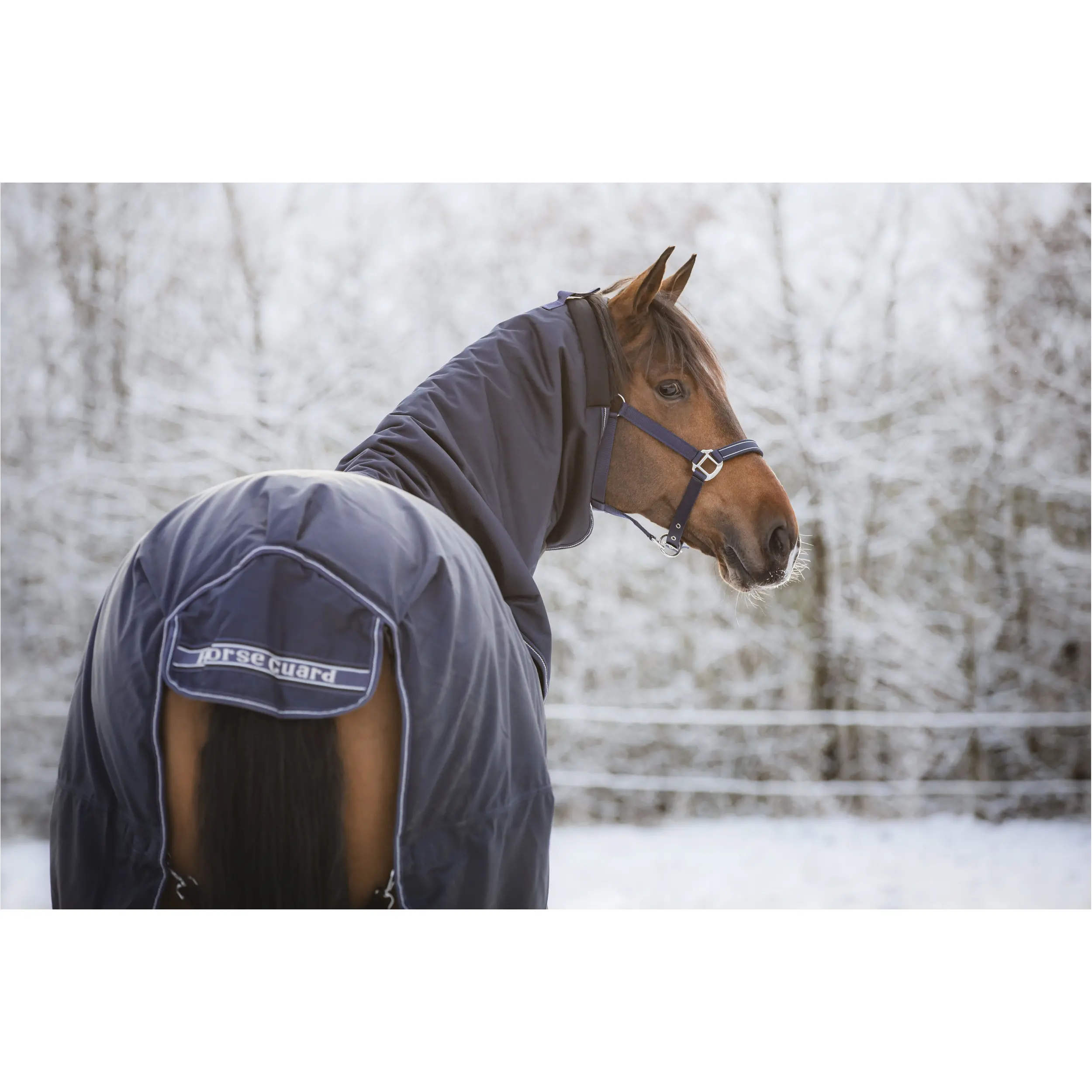 Winter Turnoutdecke mit festem Halsteil 400g Füllung 1200D LYNN navy Winter Turnoutdecke mit festem Halsteil 400g Füllung 1200D LYNN navy