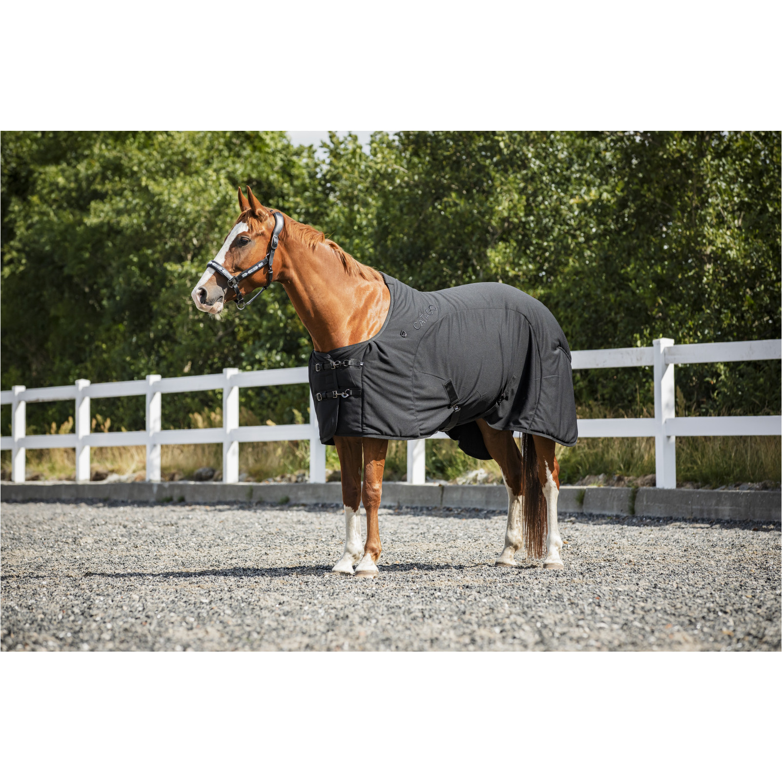 Decke FIR-Tech schwarz