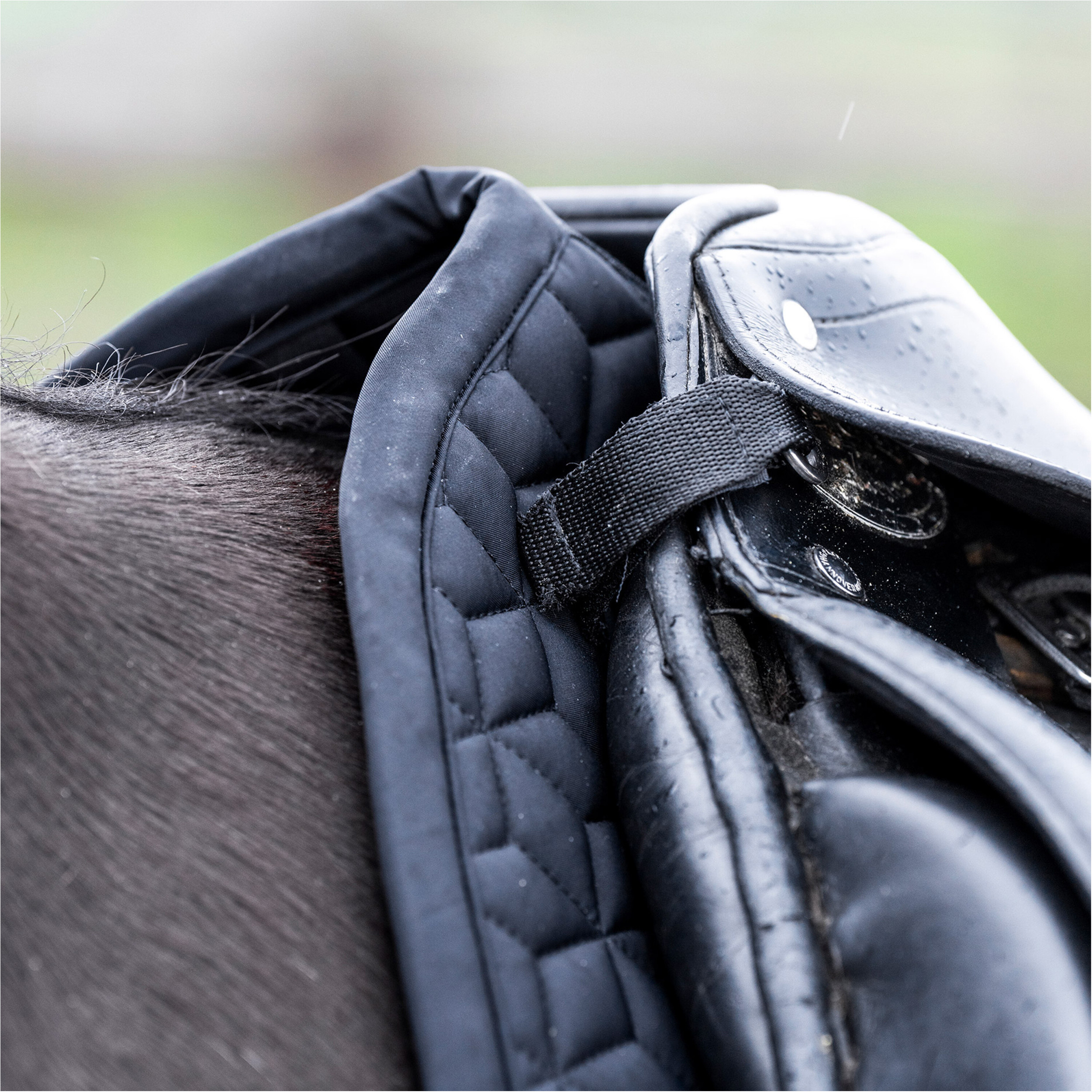 Schabracke HVPEssential schwarz Warmblut Dressur Schabracke HVPEssential schwarz Warmblut Dressur