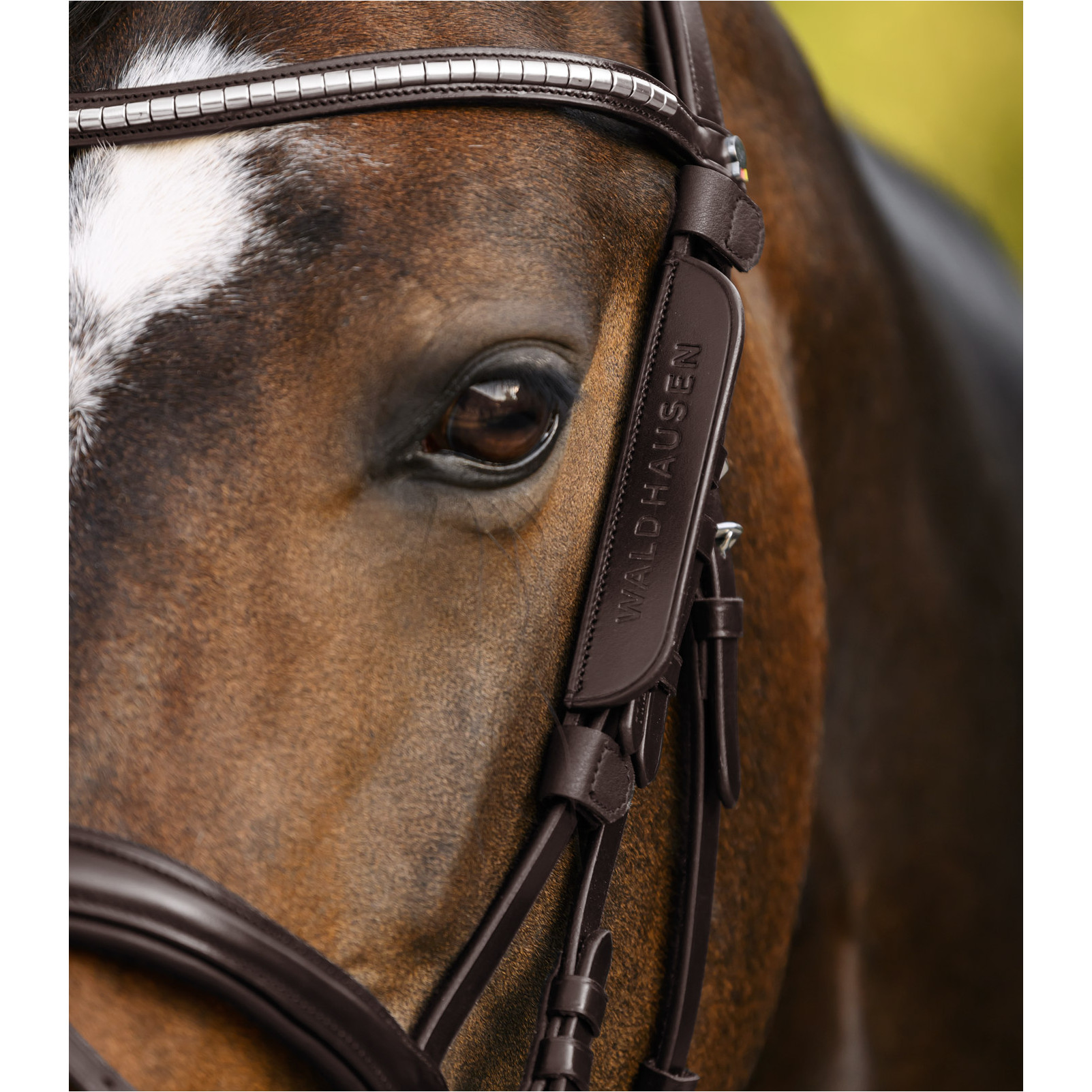 Scheuklappen klein braun