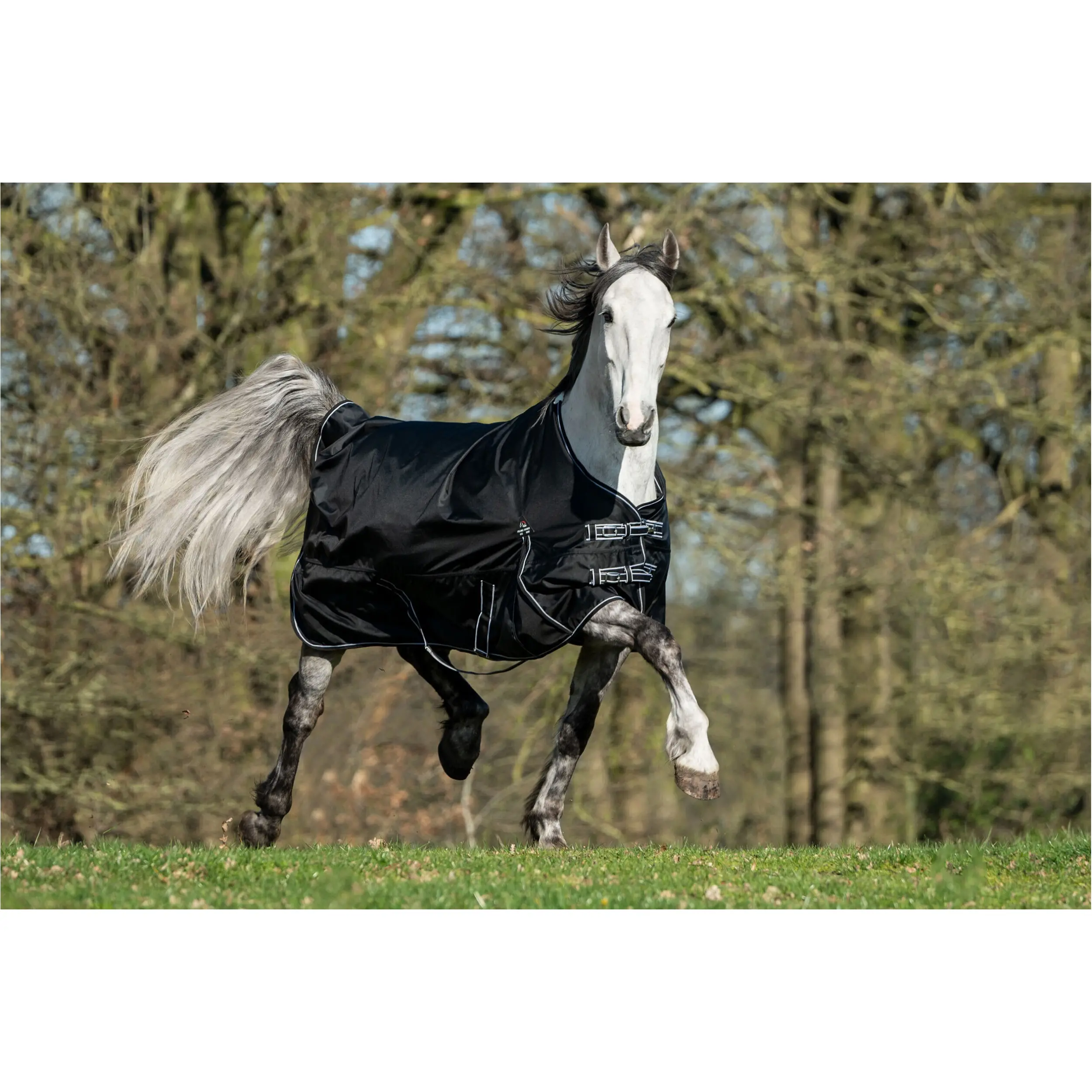 Weidedecke 300g Füllung 1680D mit Teddyfellfutter PREMIUM schwarz