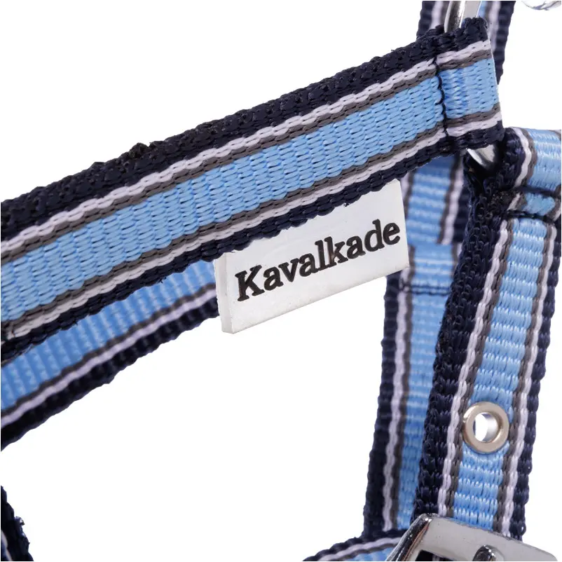 Fohlenhalfter hellblau/marine/weiß