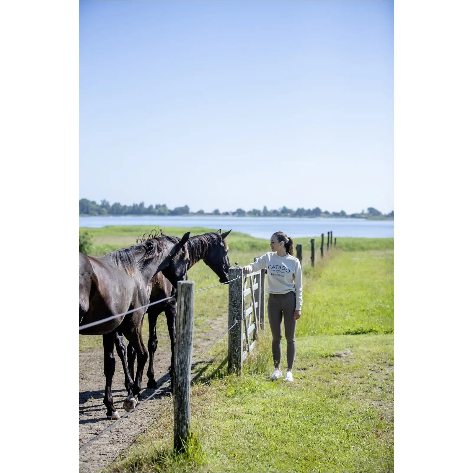 Damen Reitleggings Silikon Vollbesatz RIVER F/G mit Gürtelschlaufen periscope Damen Reitleggings Silikon Vollbesatz RIVER F/G mit Gürtelschlaufen periscope