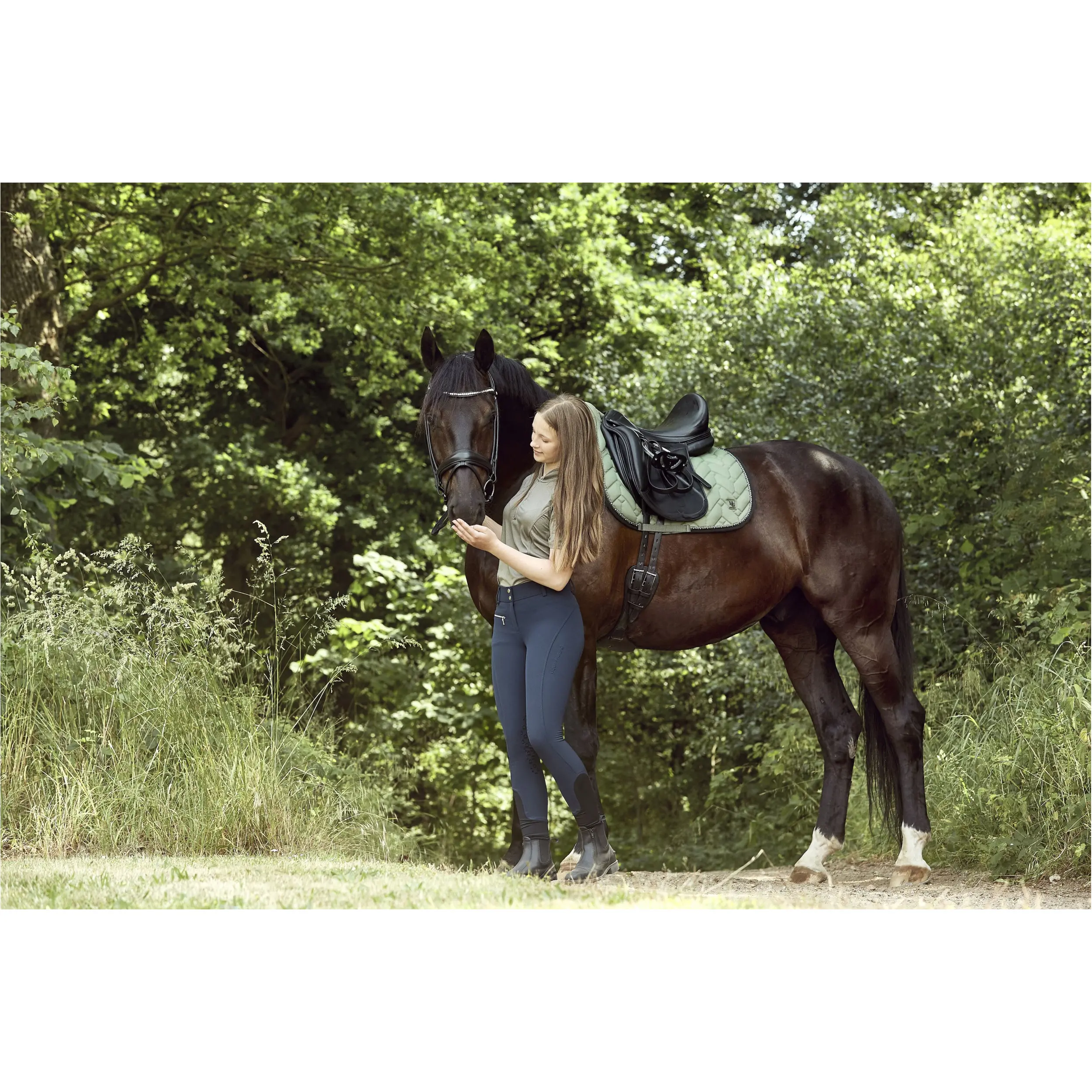 Trensenzaum rundgenäht AVA Echtleder schwarz Trensenzaum rundgenäht AVA Echtleder schwarz