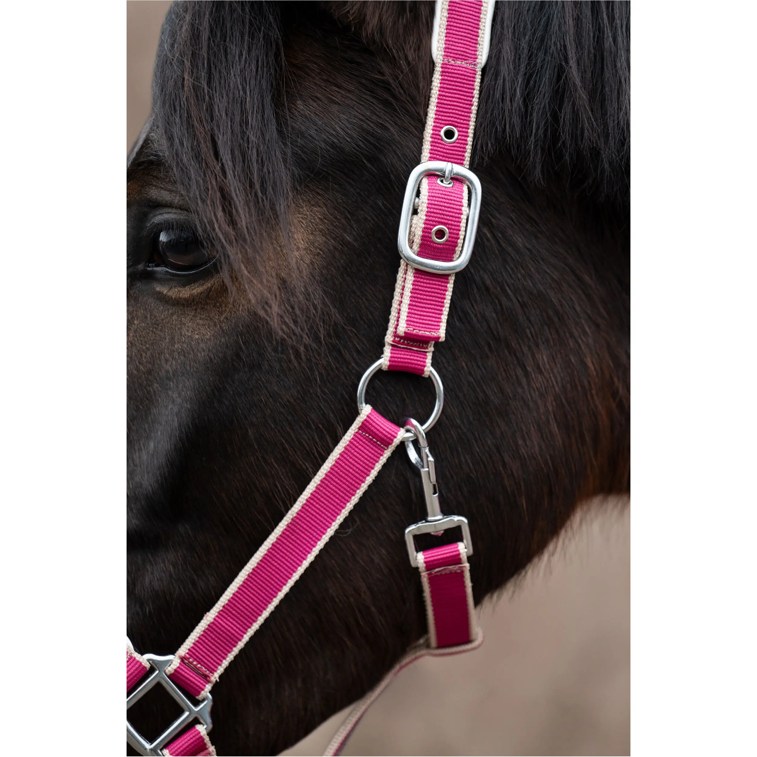 Halfter Set mit Karabinerhaken KOPENHAGEN magenta