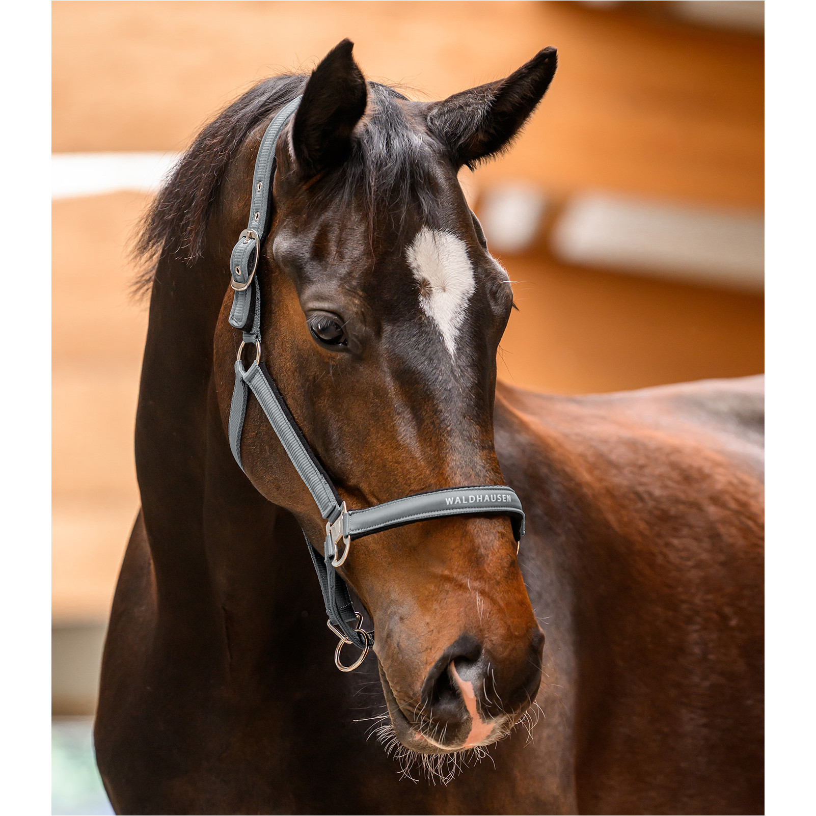 Halfter ATHLETIC chromgrau Halfter ATHLETIC chromgrau