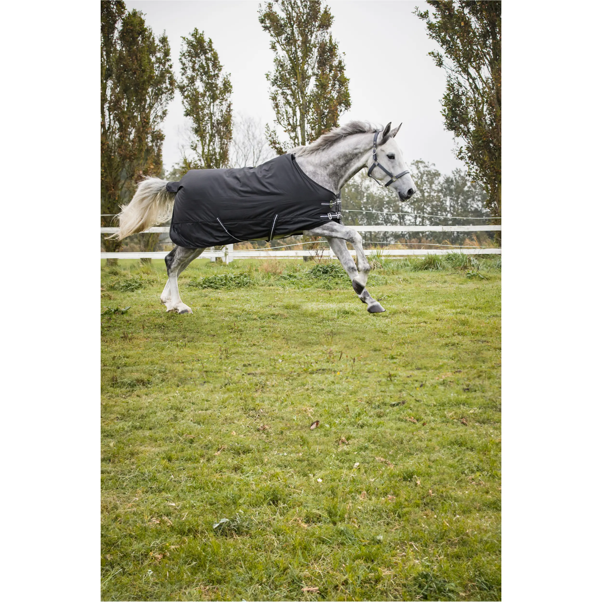 Weidedecke 200g Füllung 600D schwarz Weidedecke 200g Füllung 600D schwarz