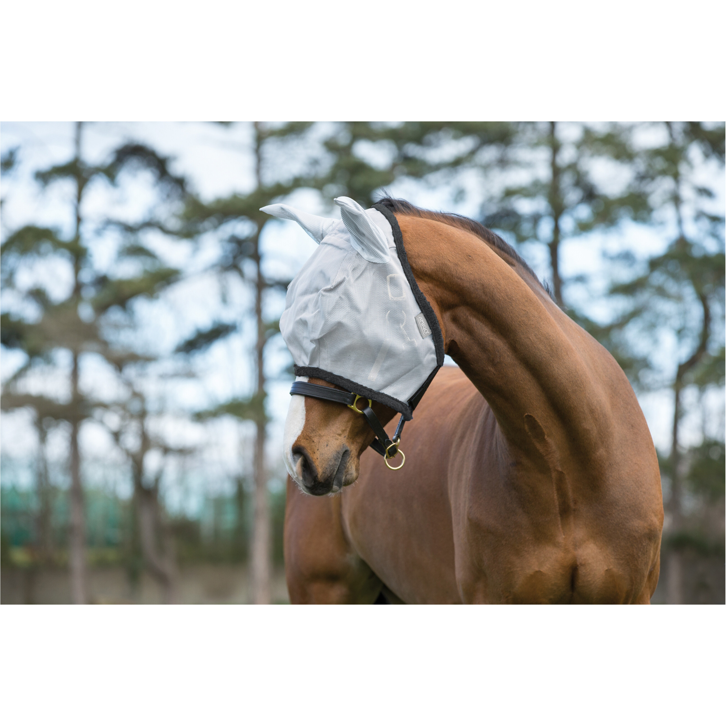 Fliegenmaske AMIGO Flymask silver/dark grey