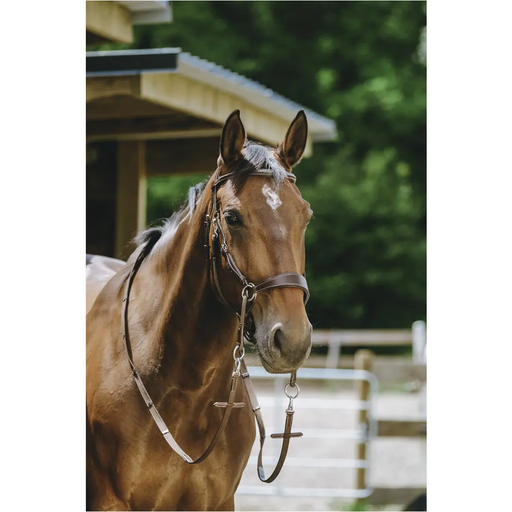 Trensenzaum und Gurtzügel BITLESS Echtleder havana Trensenzaum und Gurtzügel BITLESS Echtleder havana