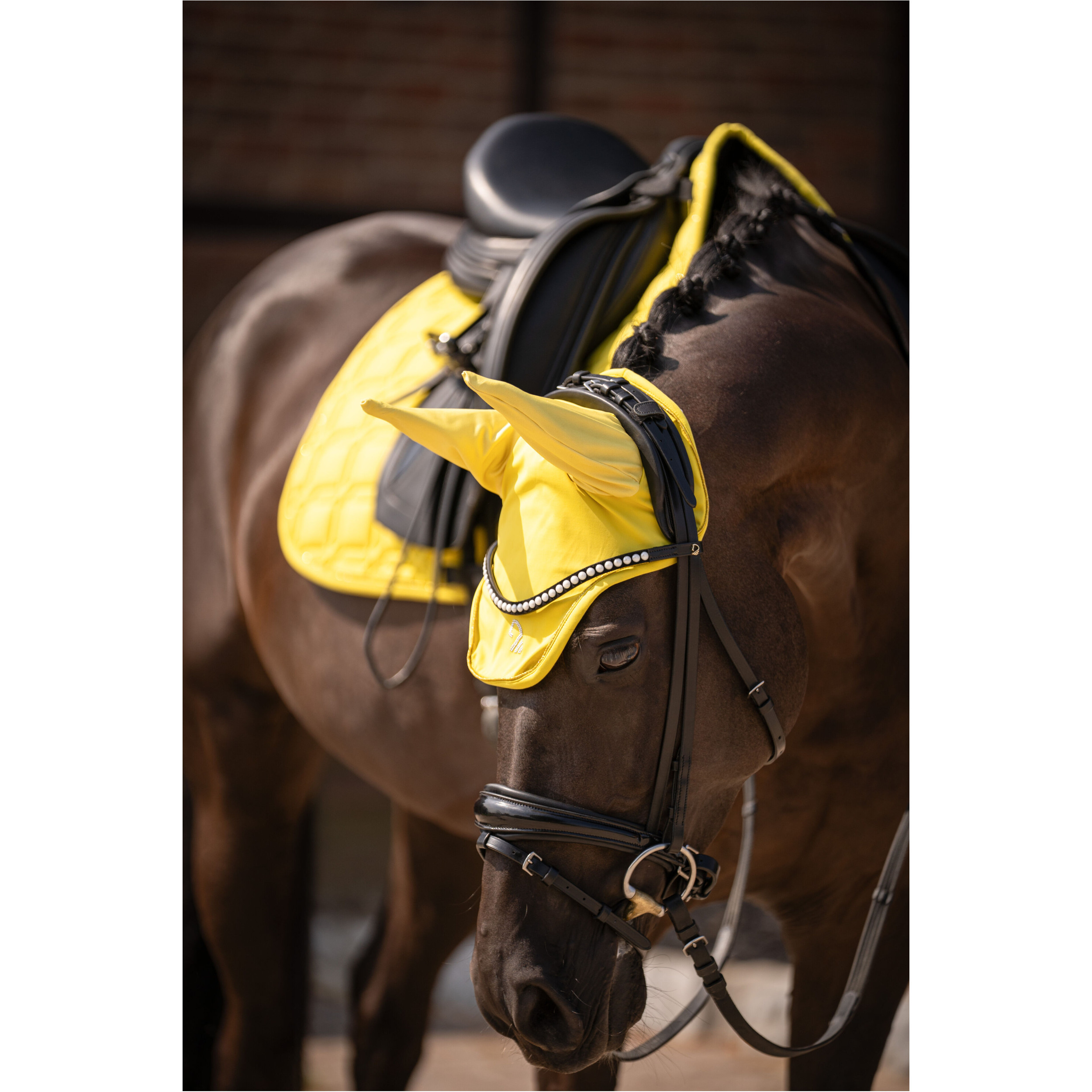 Fliegenhaube LIMONE lemon